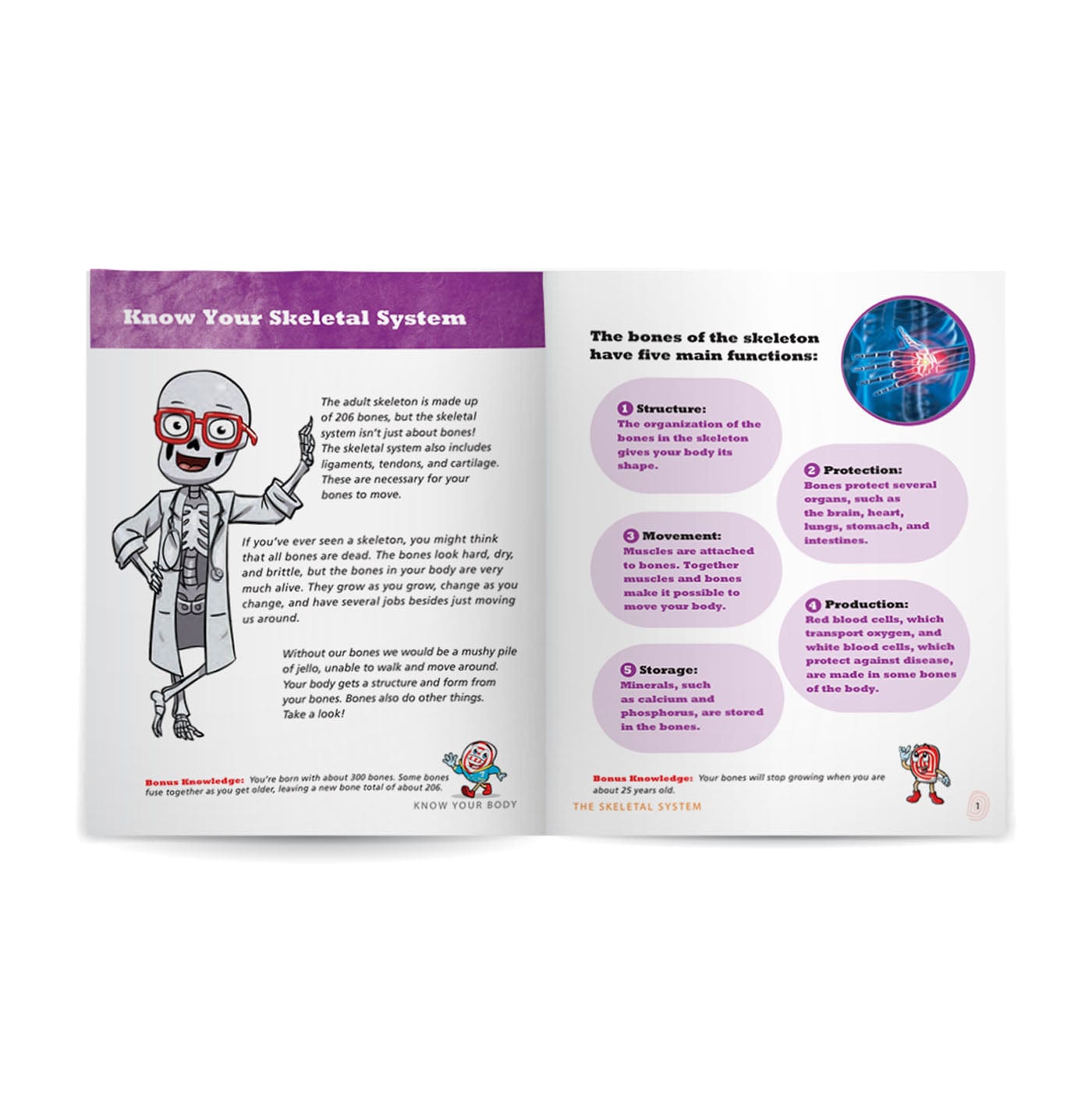 Know Your Body 6 Book Bundle
