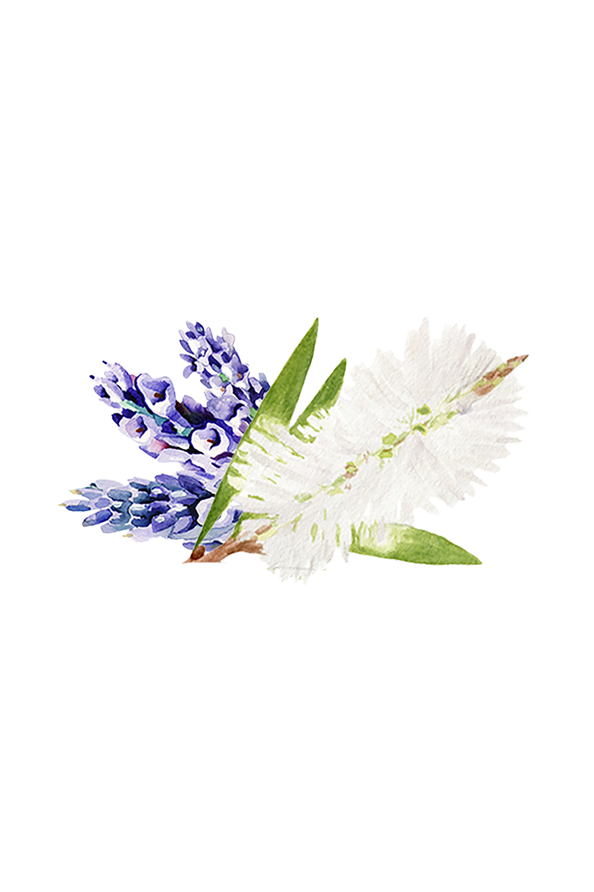 Moisturizing Body Wash | Lavender & Tea Tree