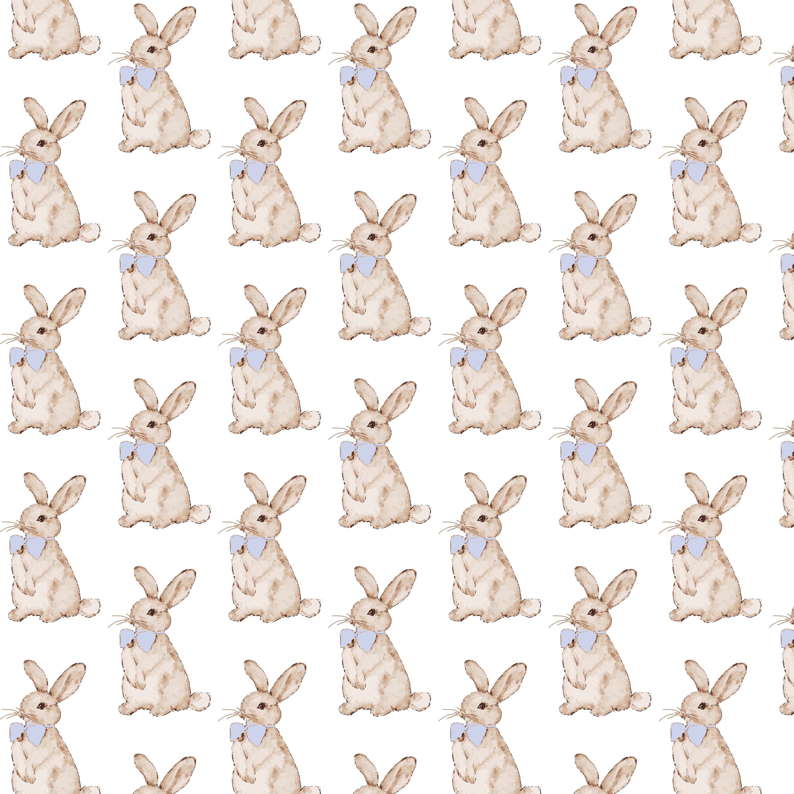 Palmer Boys' Bubble - Easter Bunnies Blue