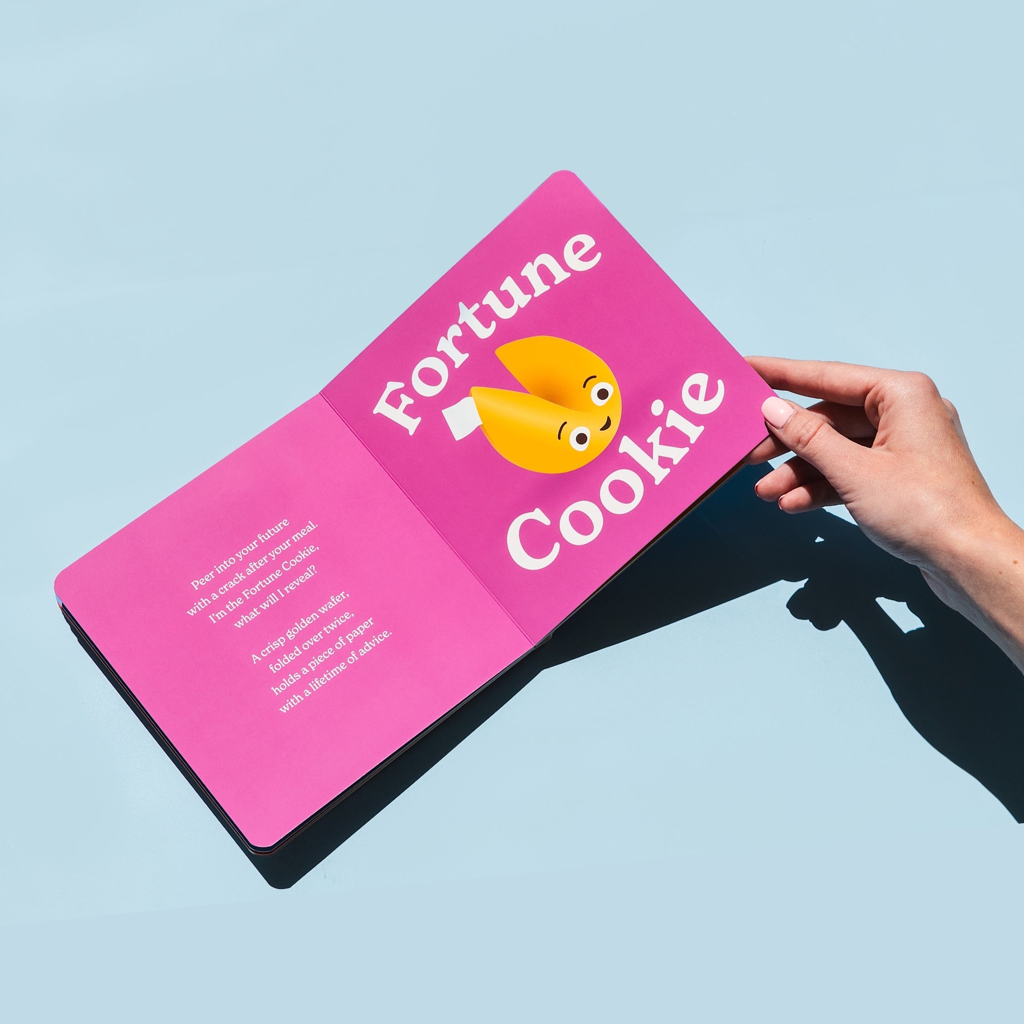 Little Book Of Cookies