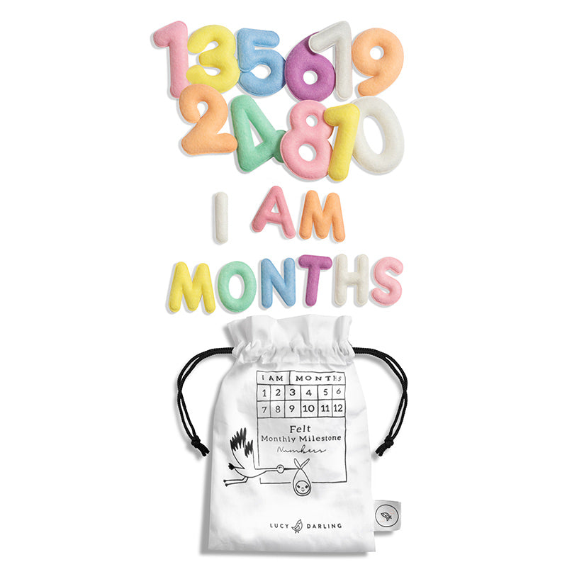 Milestone Felt Numbers In Pastel