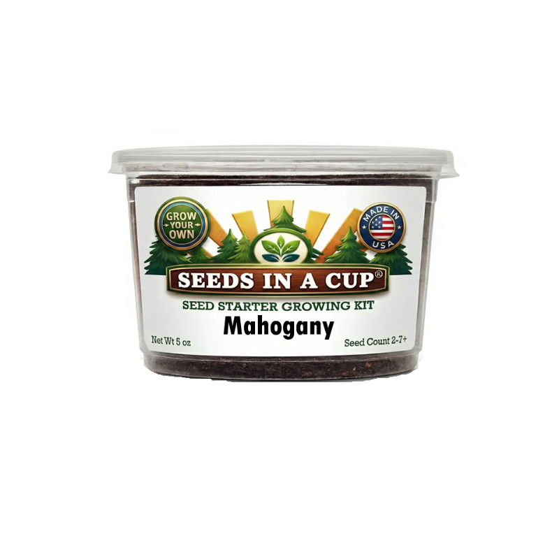 Original Tree Grow Kit- Multiple Varieties