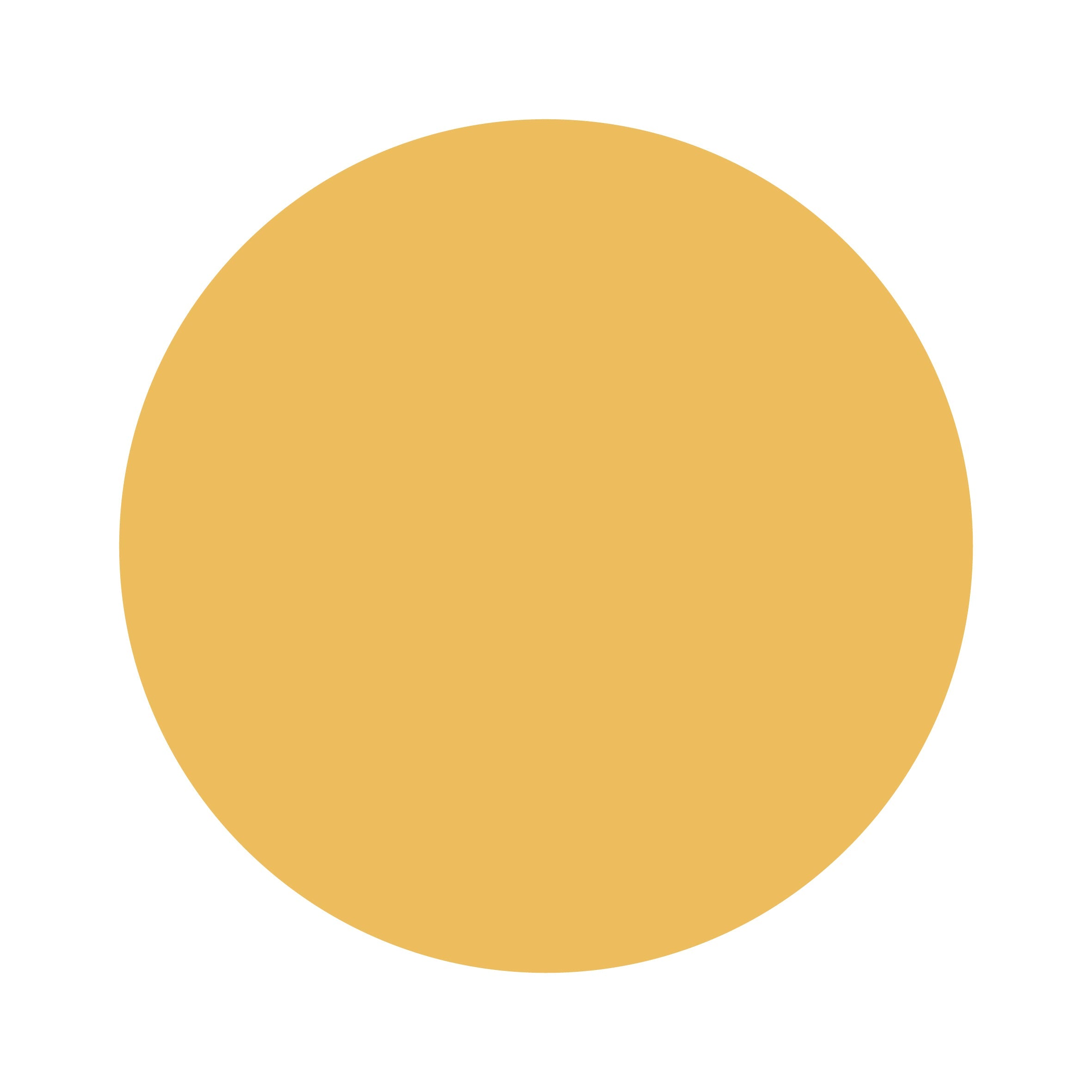 Marigold | Bamboo Headband Bow