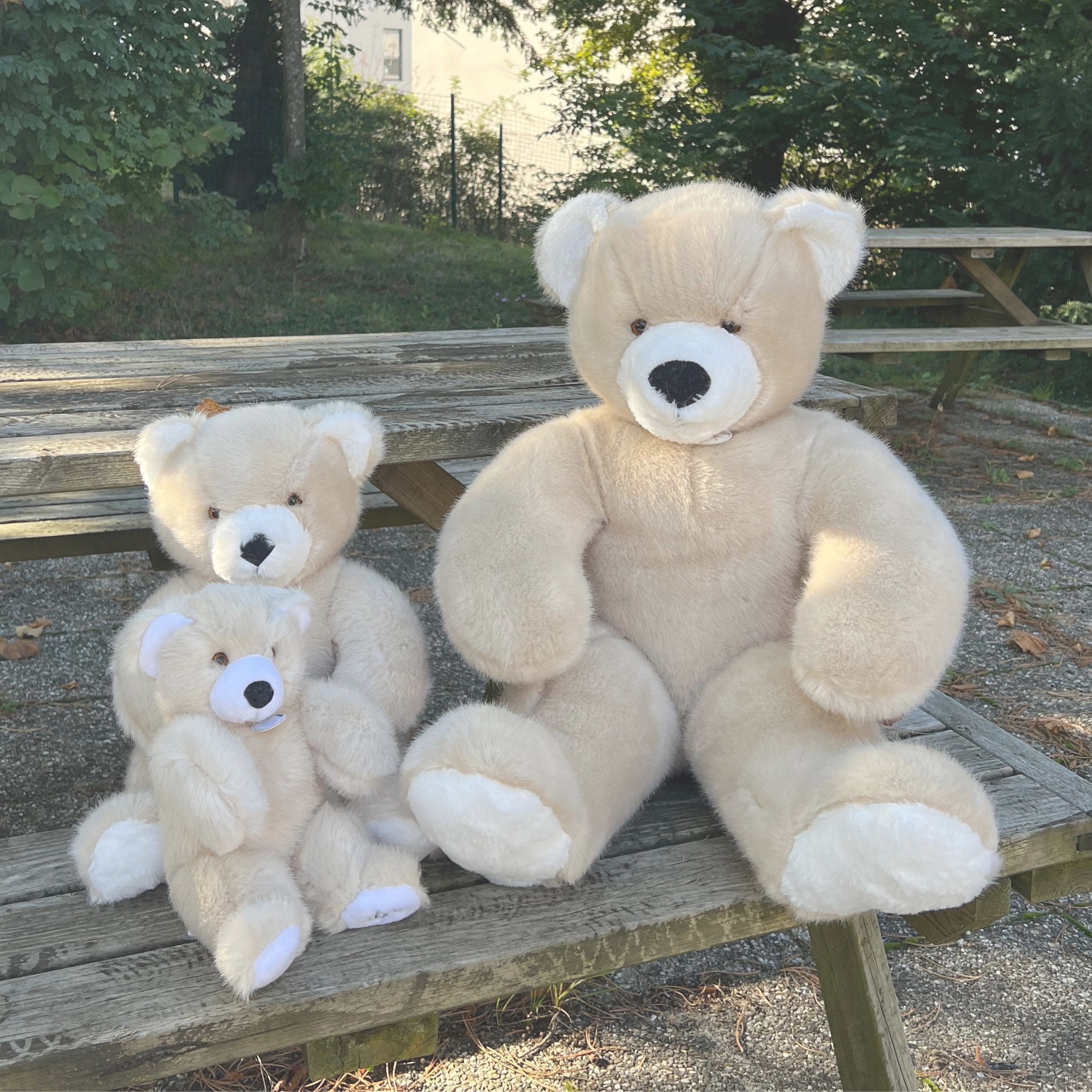 Martin | Beige Plush Bear (30 Cm) | Made In France