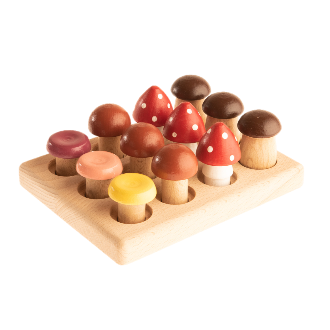 Wood Mushrooms On The Field