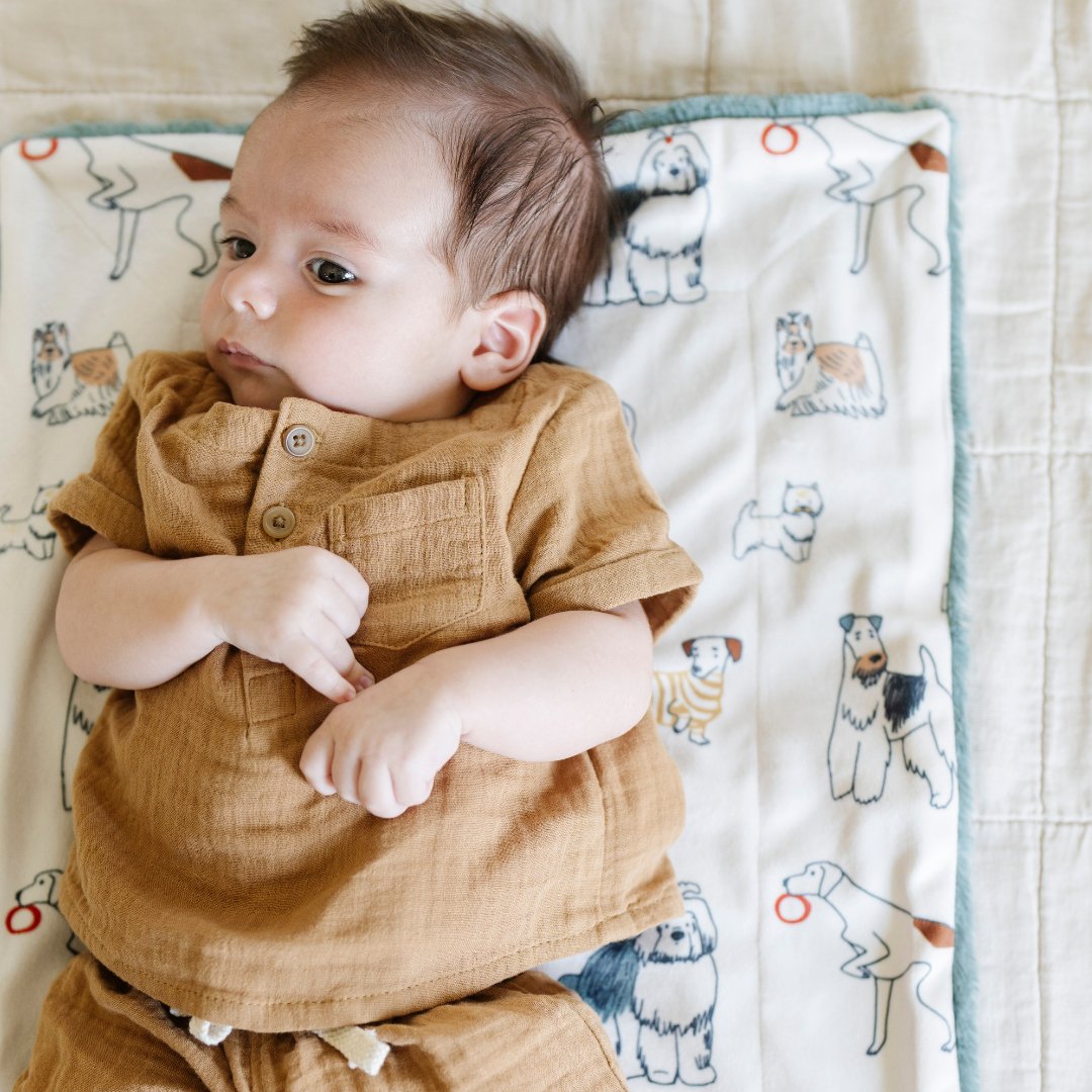 Minky/lush Mini Blankets