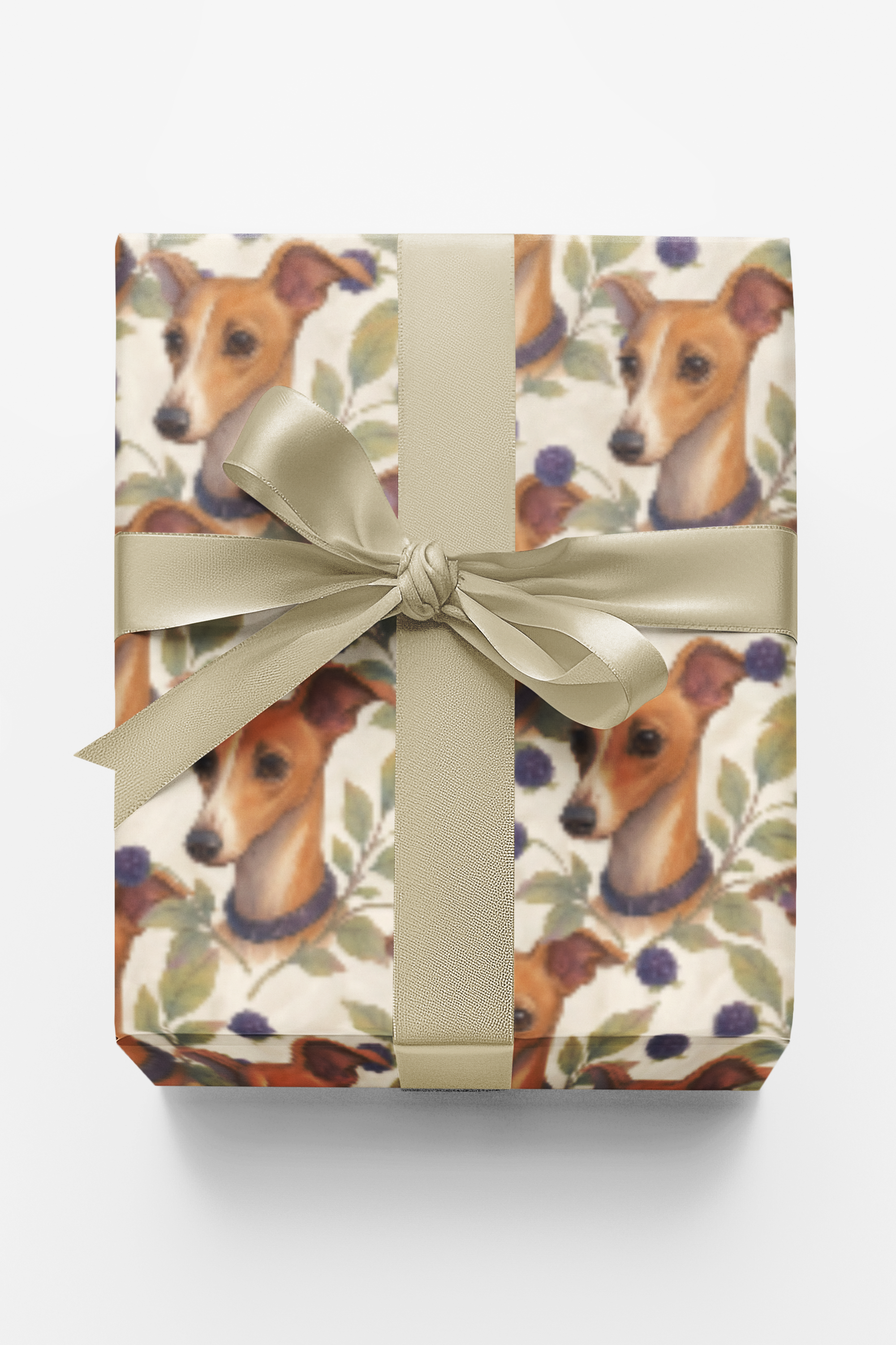 Velvet Ears & Gentle Gaze