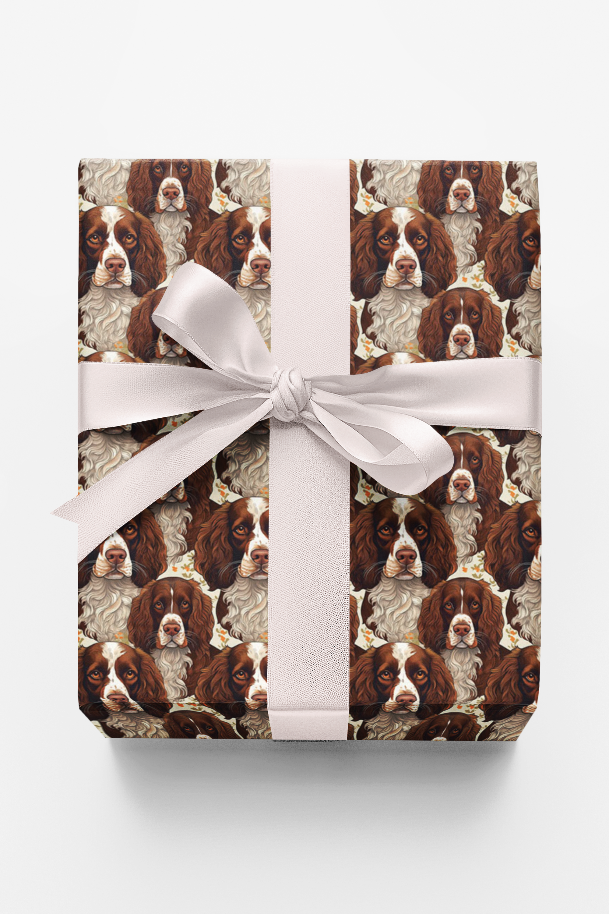 Paw Prints & Springer Sprints