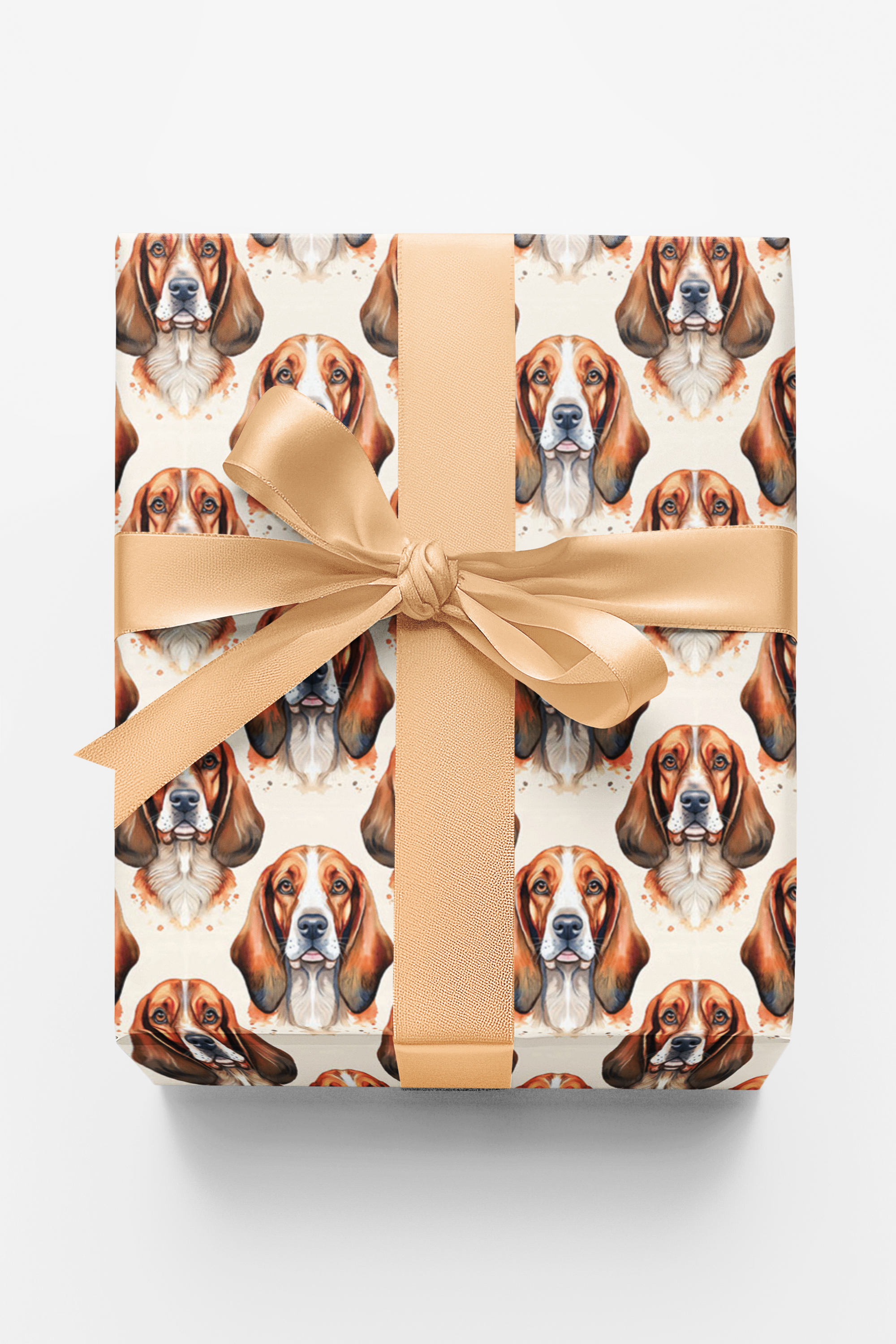 Low & Loyal Basset