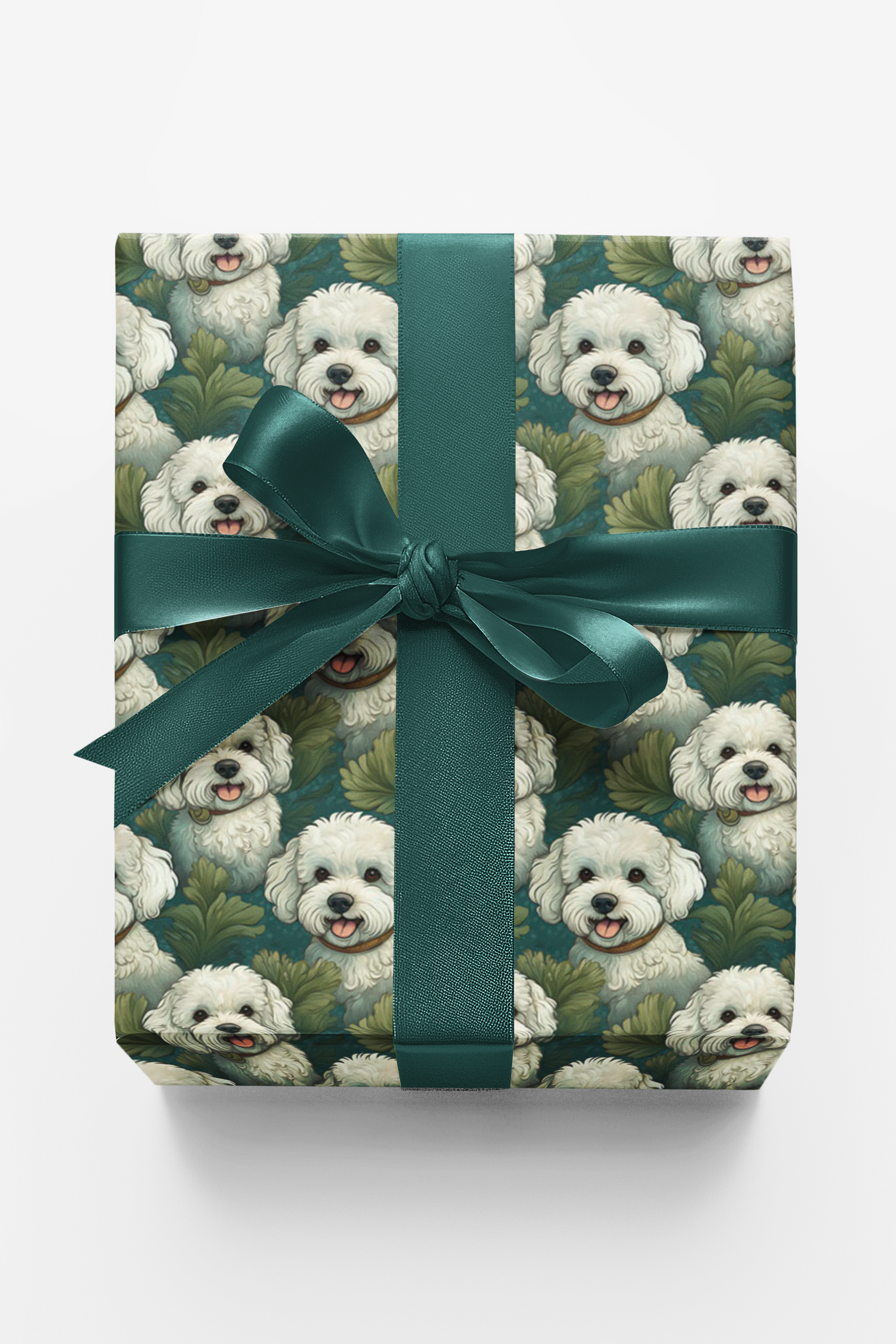 Bichon Bounce