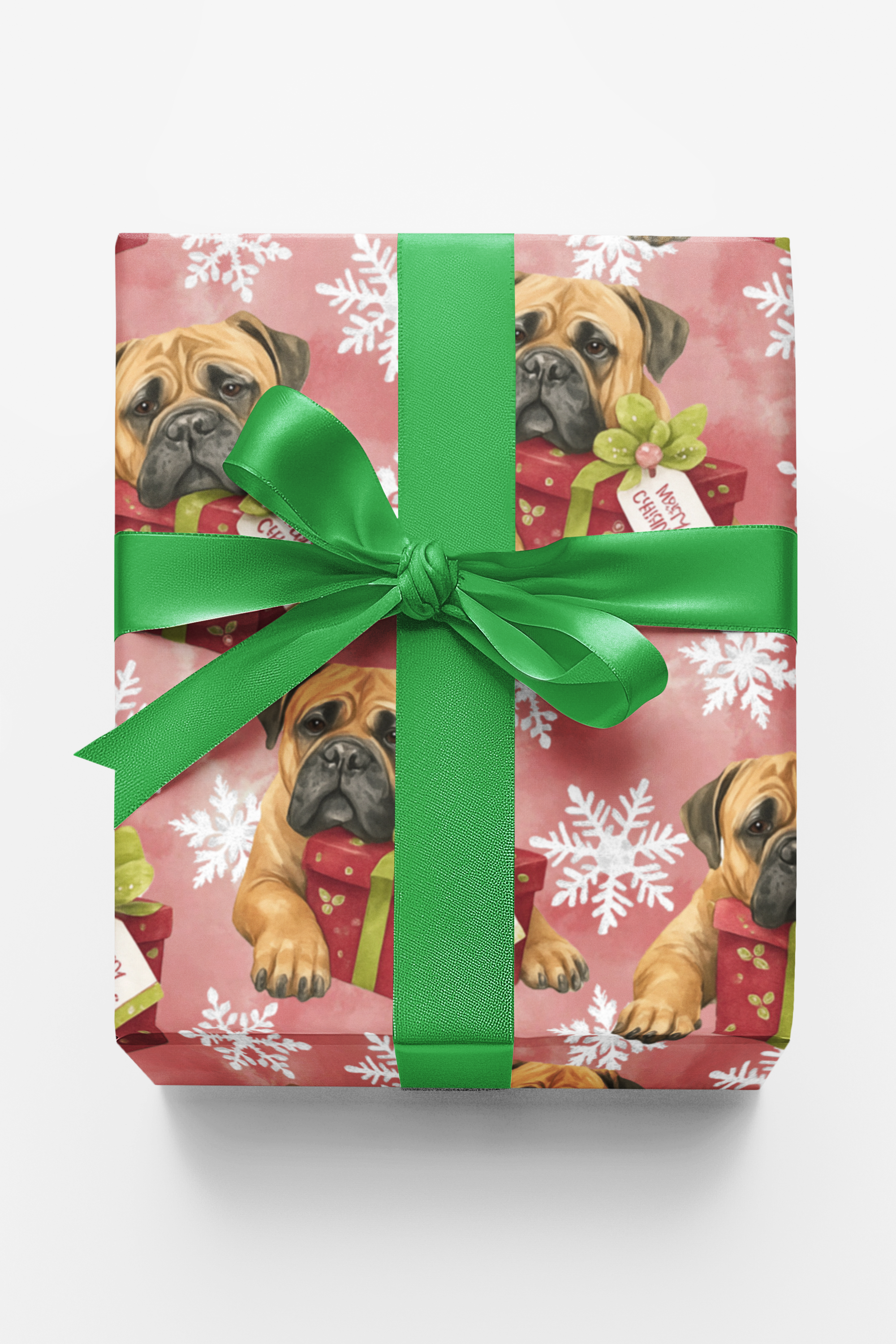 Guardian Of The Holiday Hearth