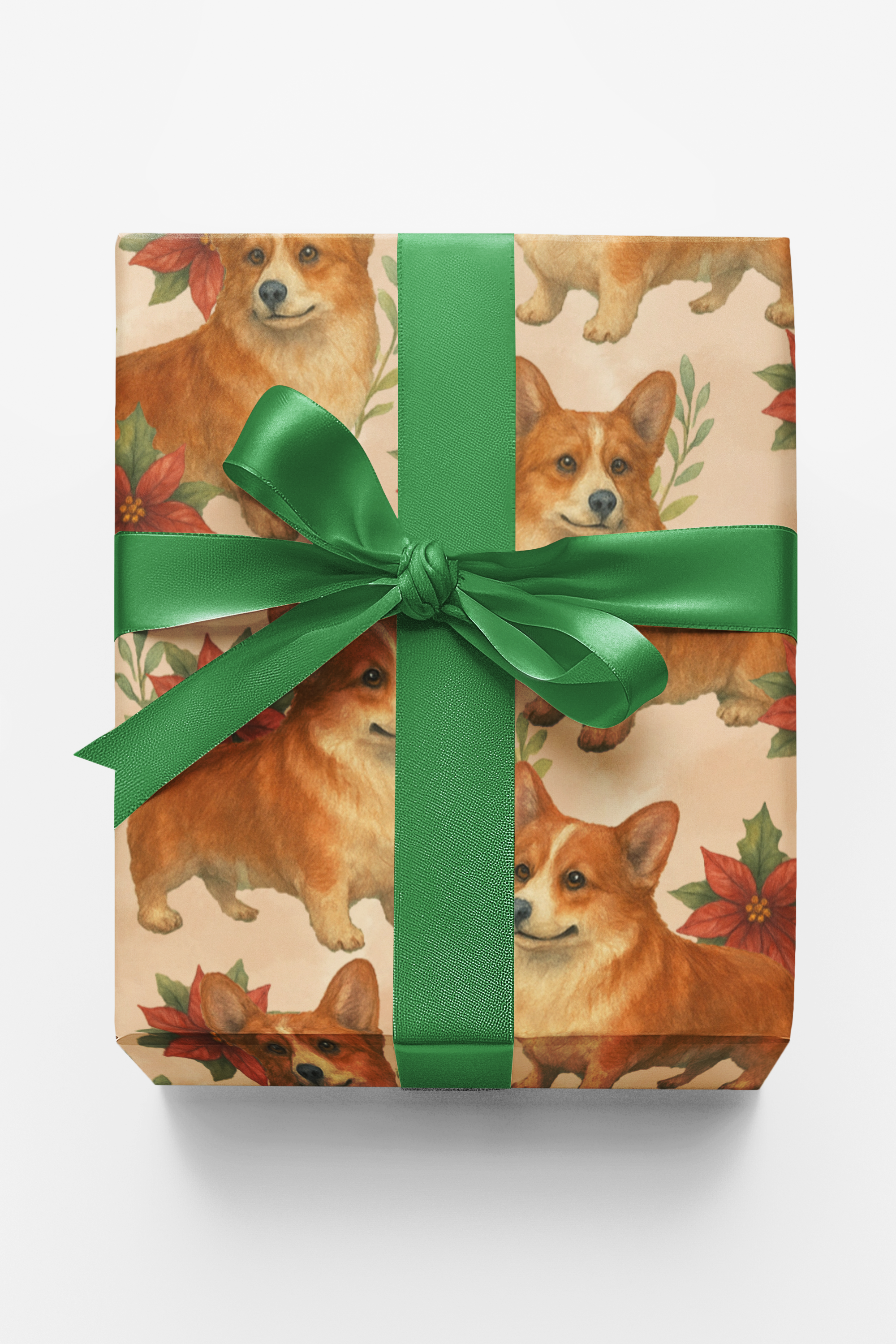 Merry Tails And Winter Trails