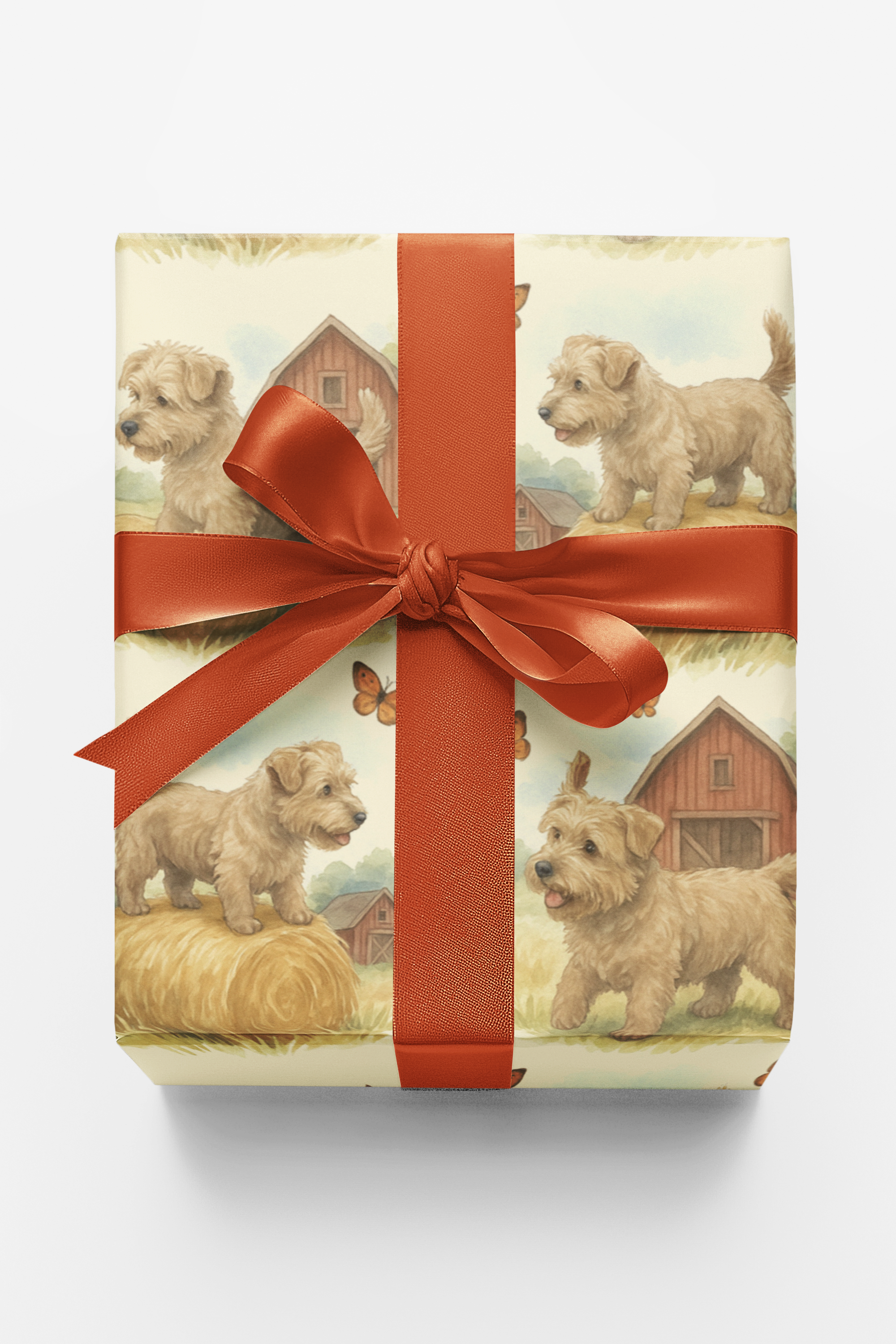 Playful Terrier Companions