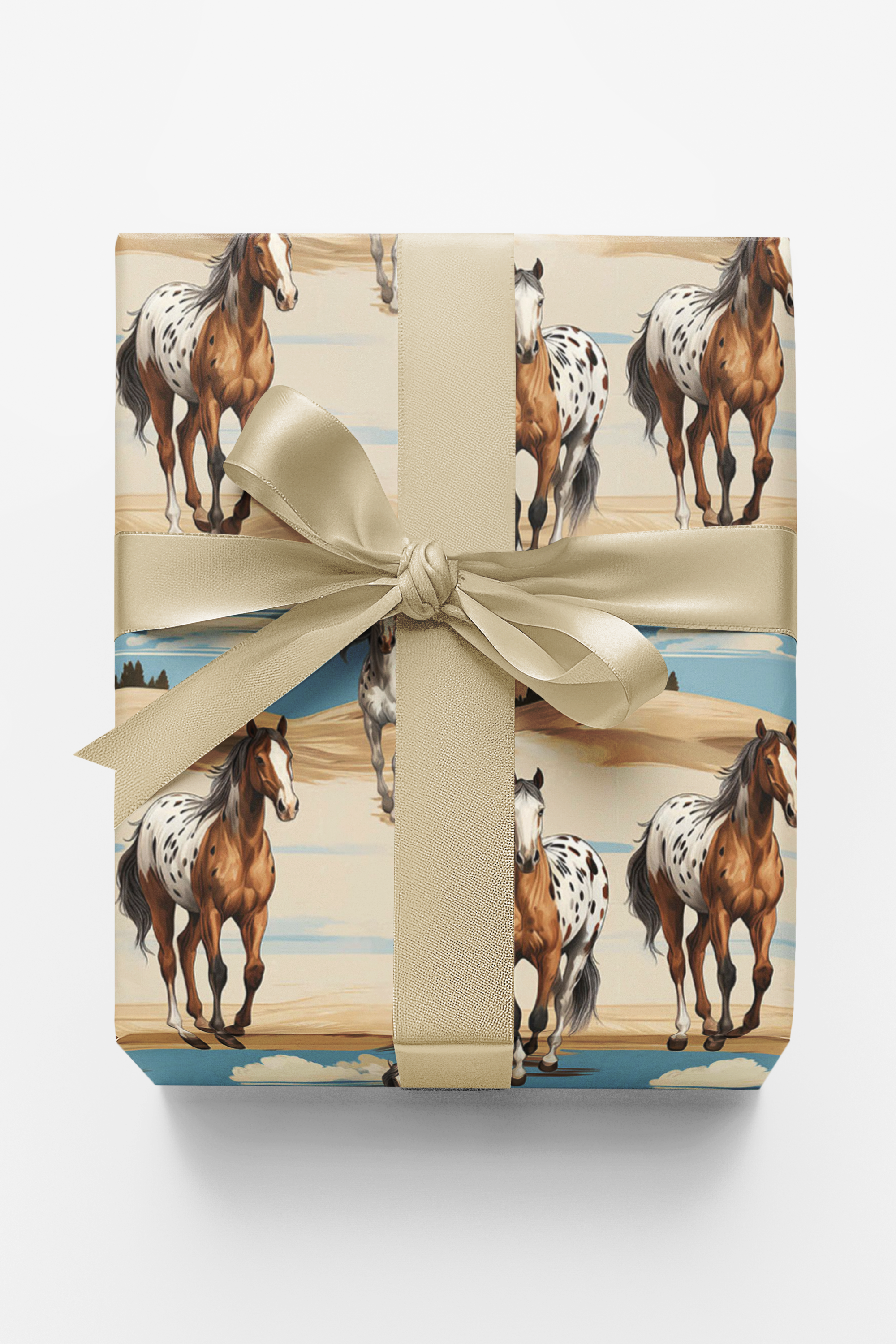 Appaloosa Run