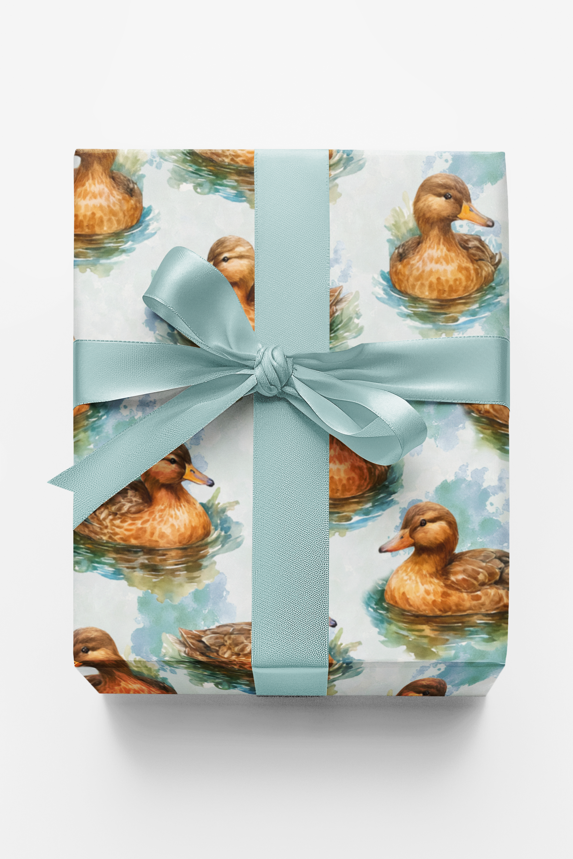 Ripples & Feathers