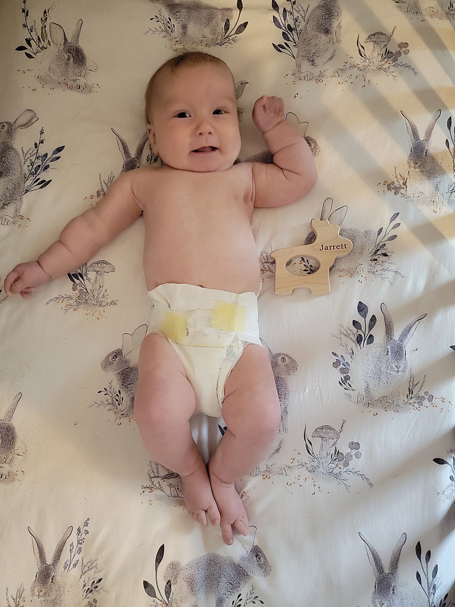 Moose Wooden Grasping Toy