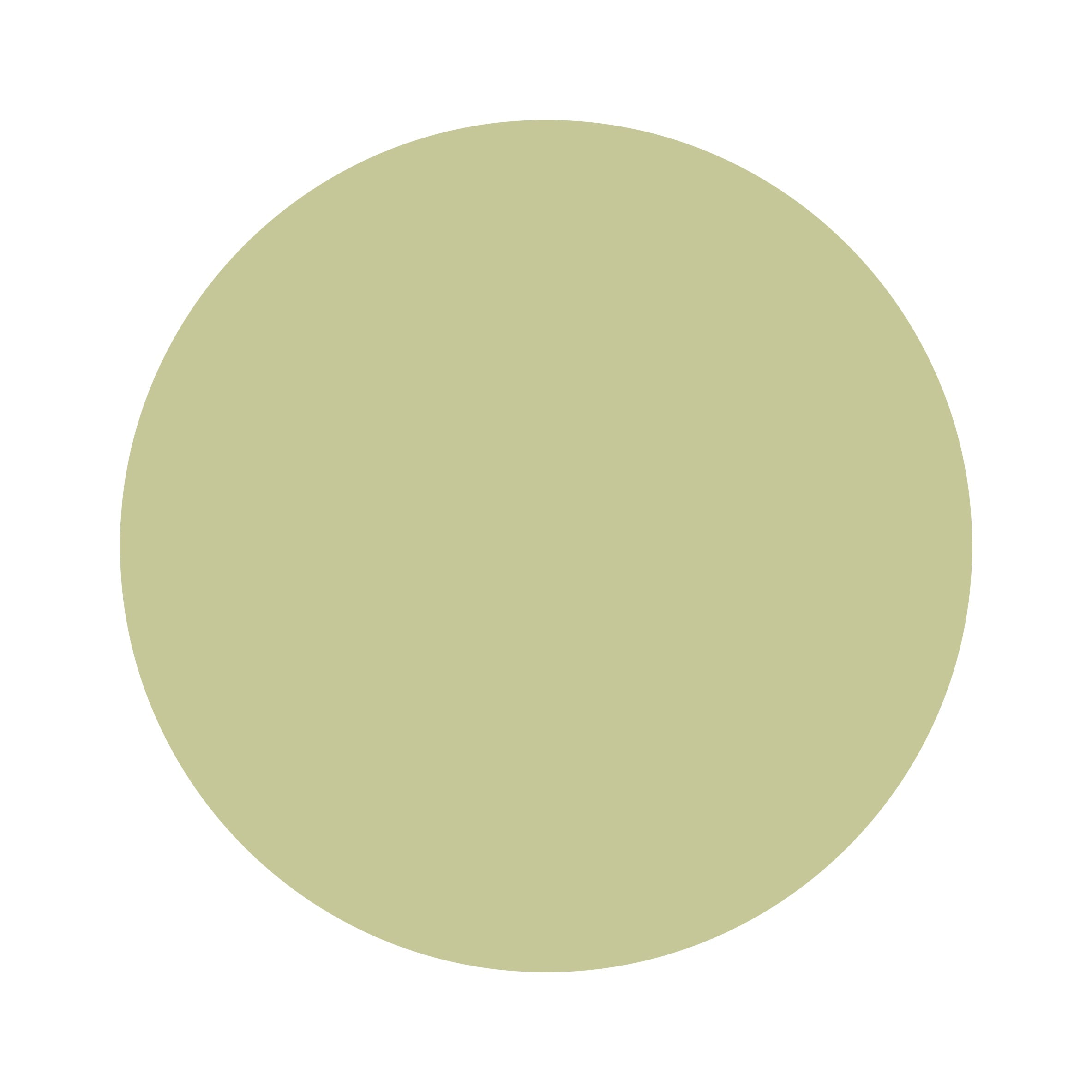 Moss | Bamboo Headband Bow