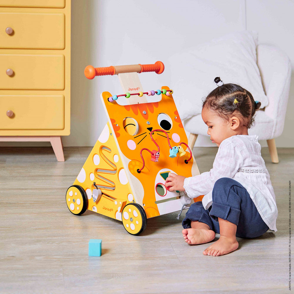 Multi-activities Cat Baby Walker