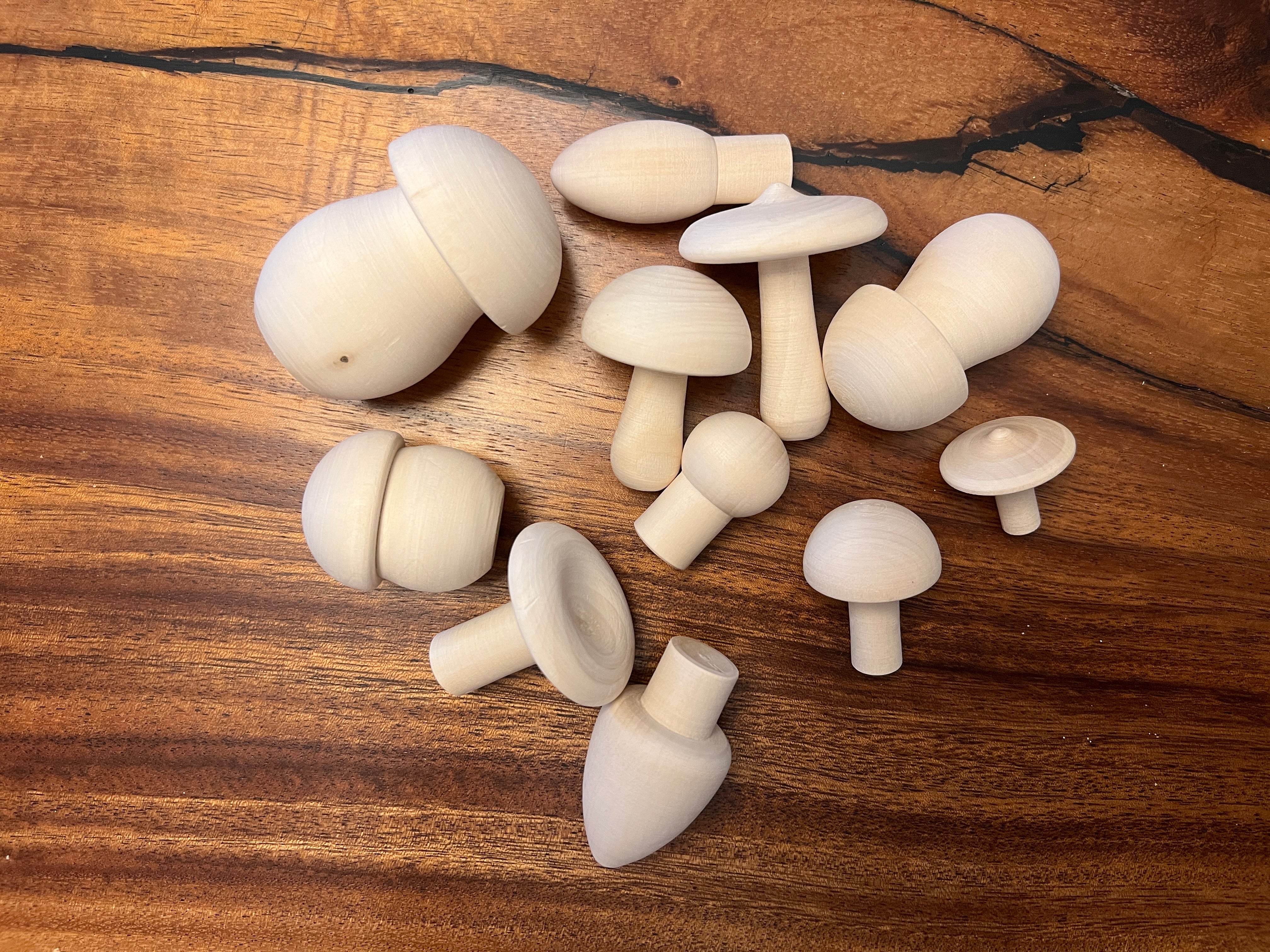 Unfinished Wooden Mushrooms Set
