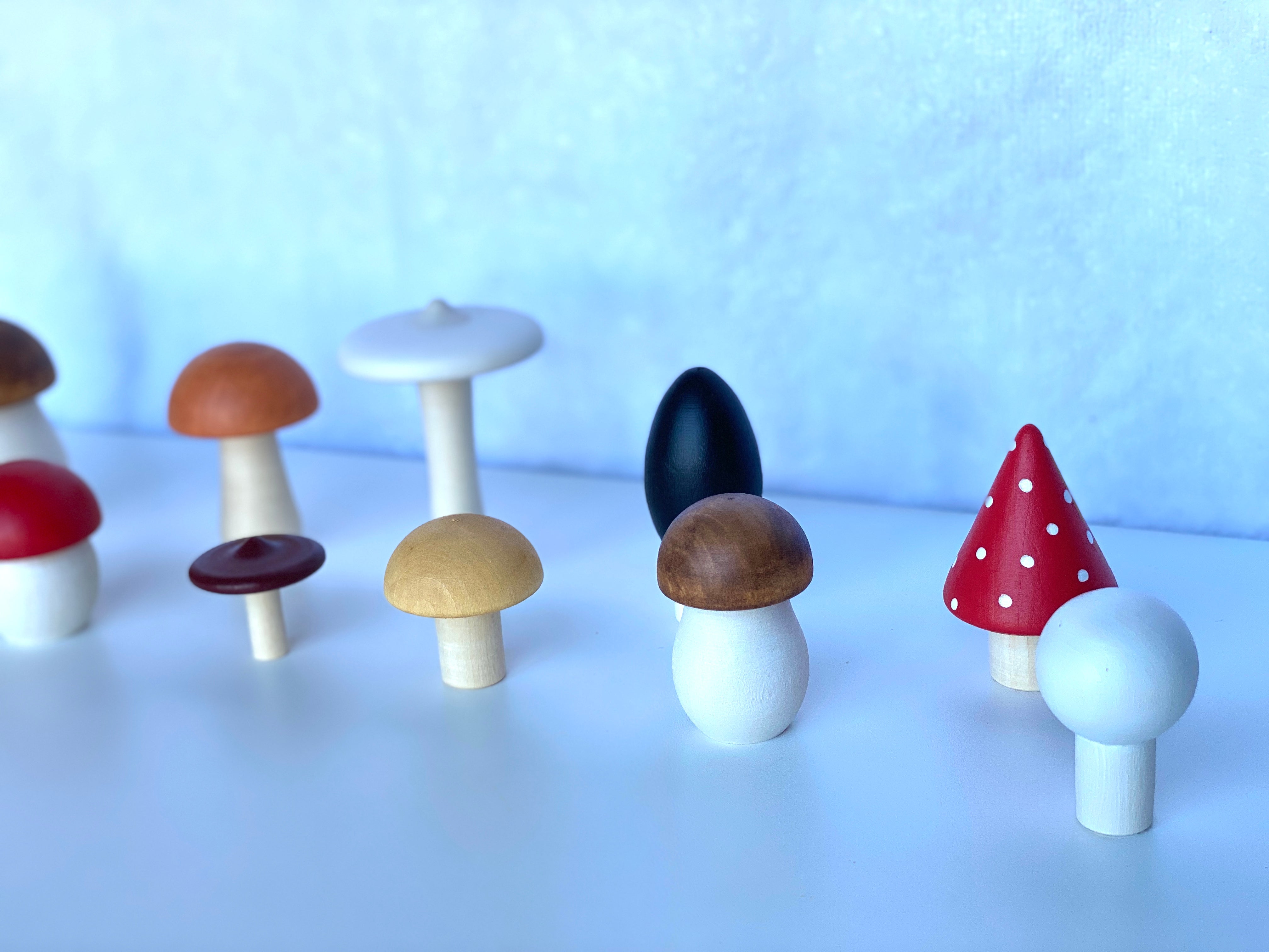 Wooden Mushroom Toys Set Of 11