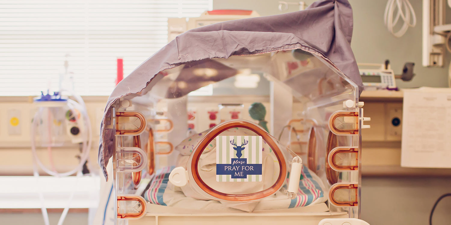 Boy Preemie Nicu Milestone Cards In Plastic