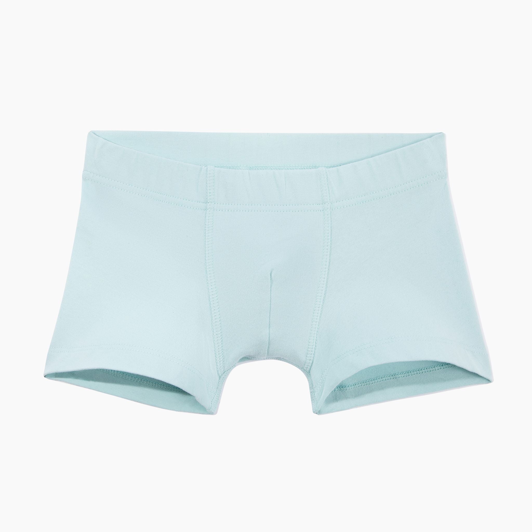 Boys Boxer Brief Underwear