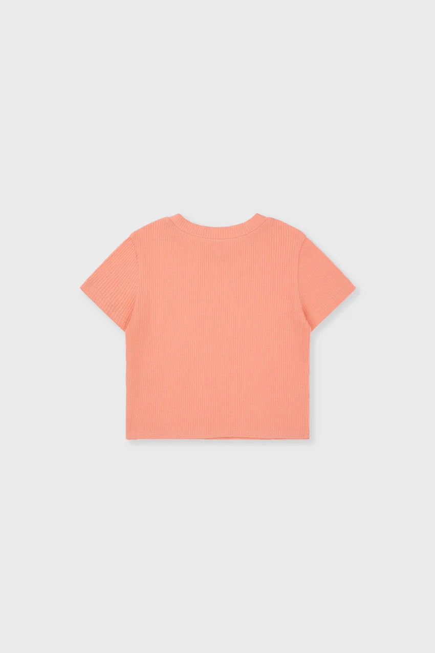 Organic Cotton Cropped T-shirt