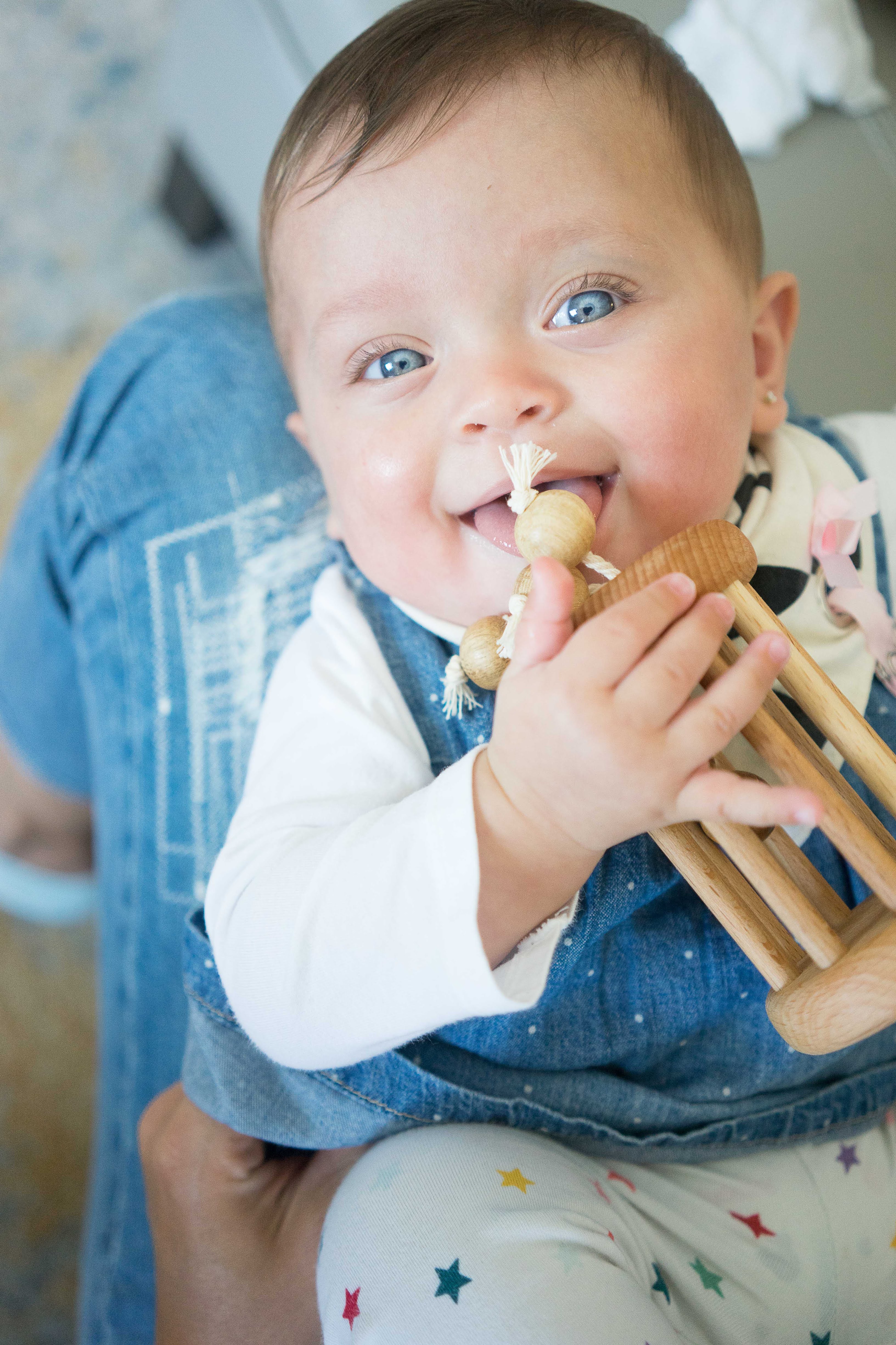 Montessori Rattle With Rolling Balls