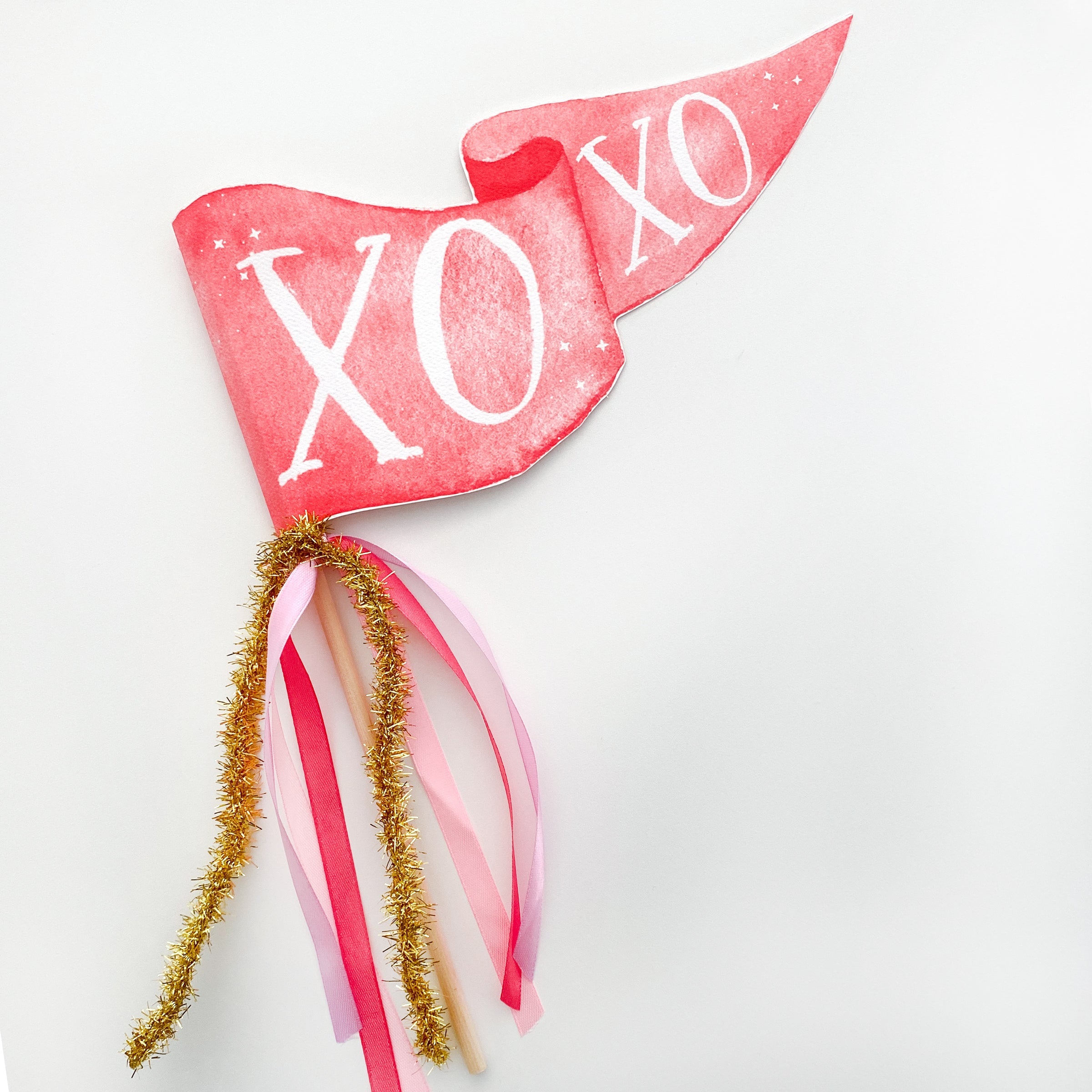 Xoxo Party Pennant