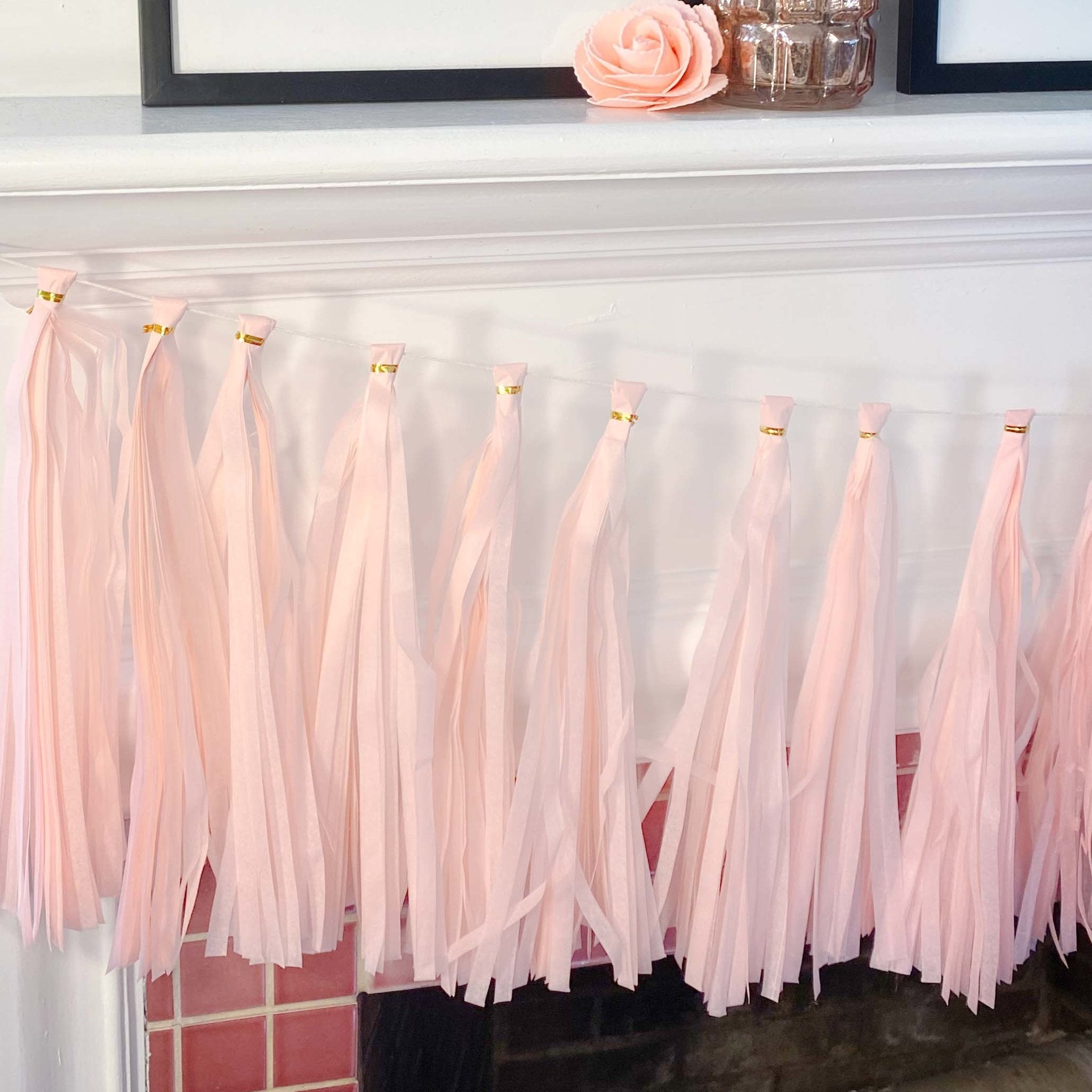 Pink Tassel Tail