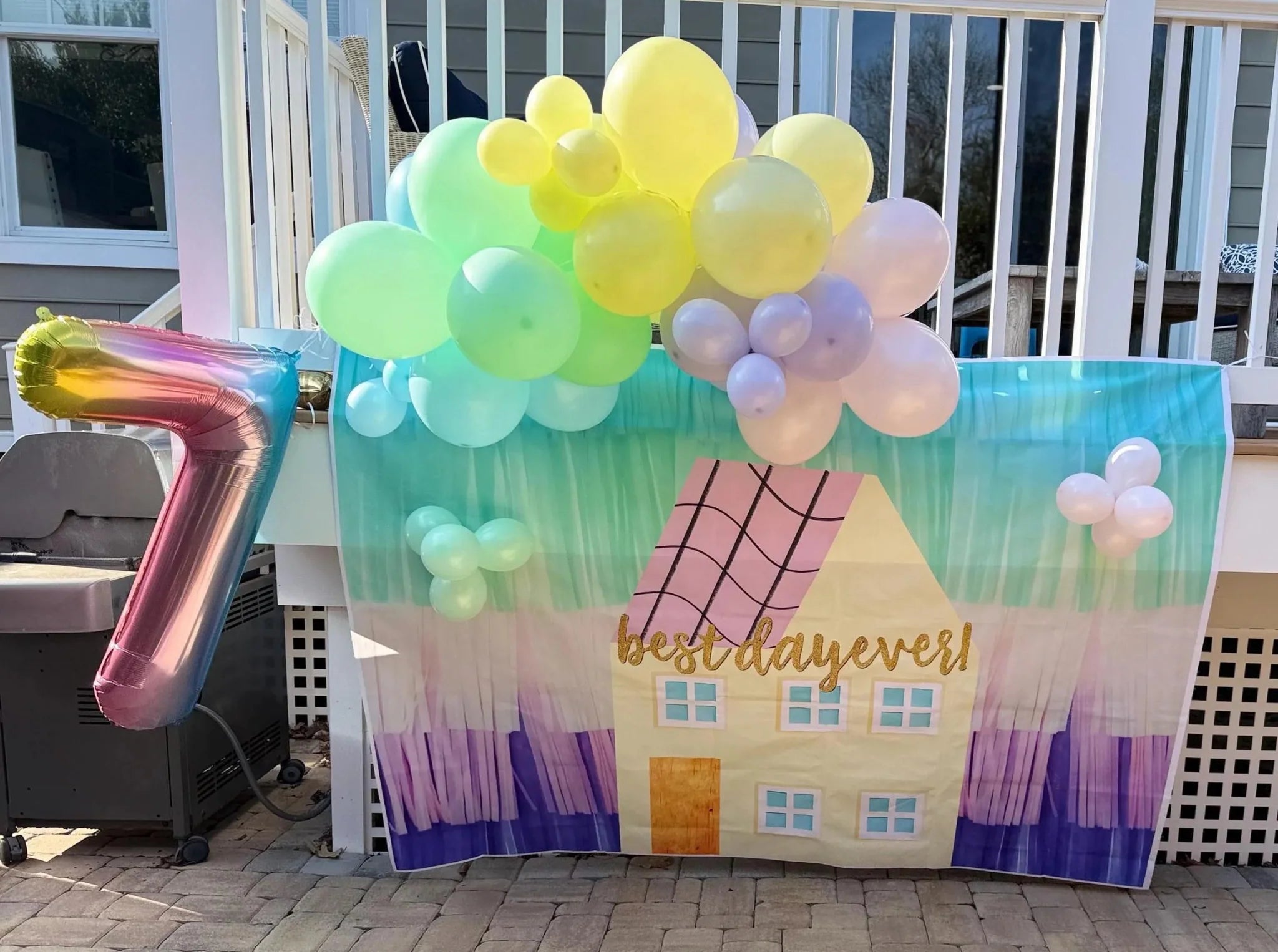 Peppa Pig House Vinyl Backdrop