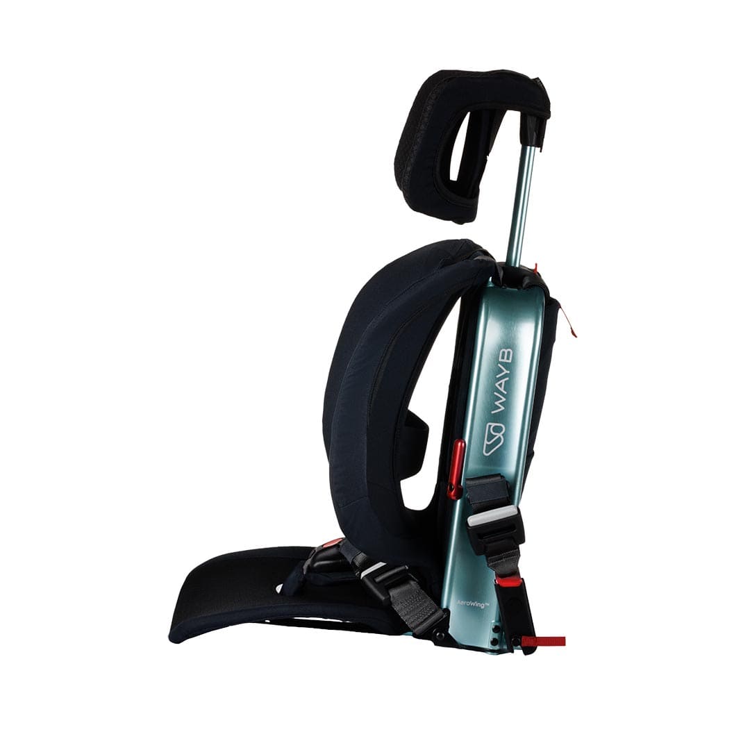 Pico™ Portable Car Seat