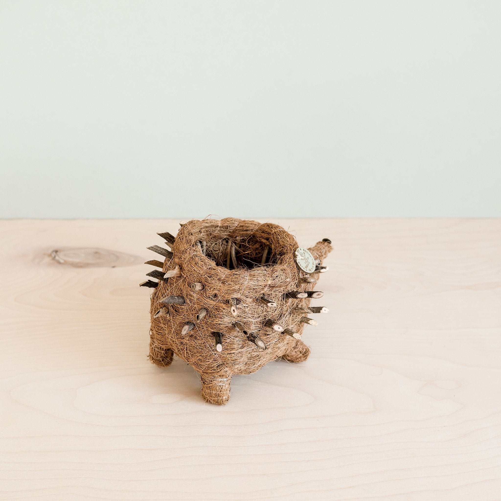 Baby Hedgehog Plant Pot - Handmade Planters | Likhâ