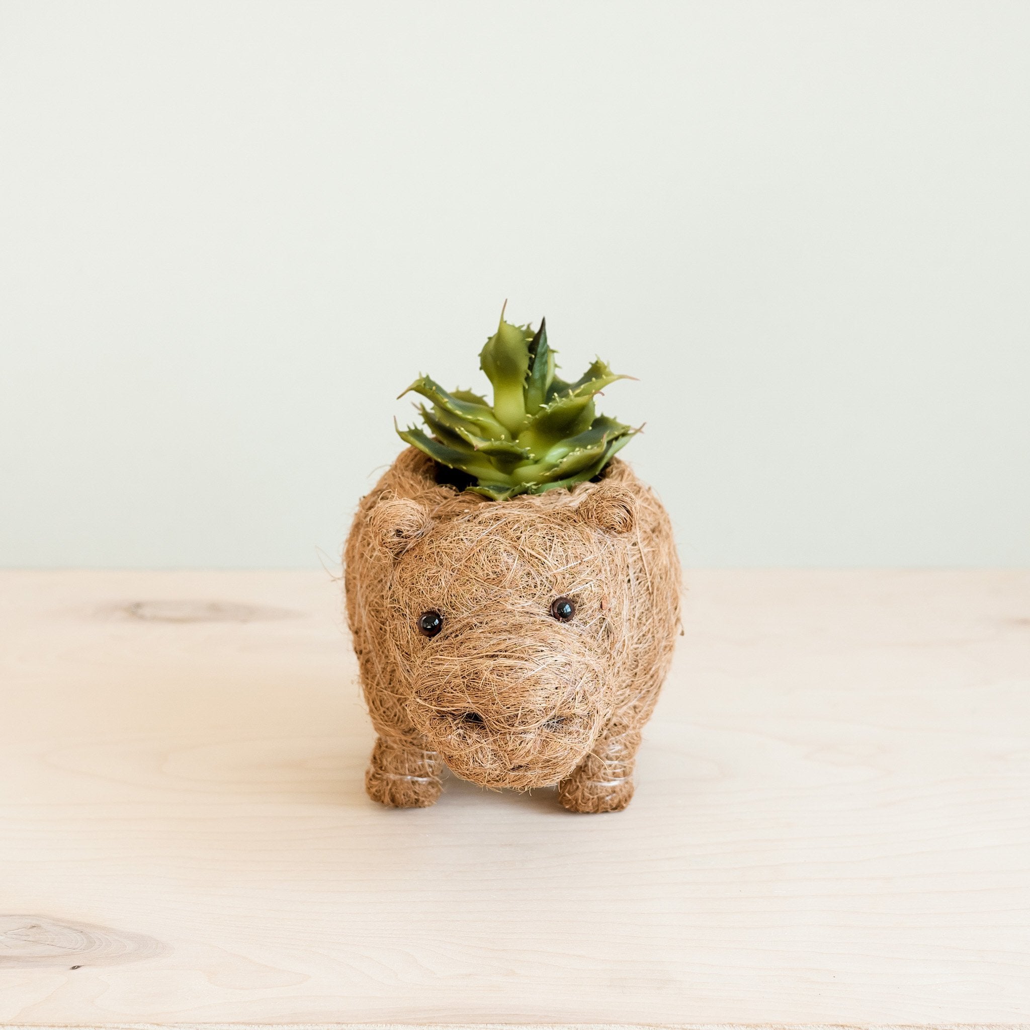 Baby Hippo Plant Pot - Handmade Pots | Likhâ