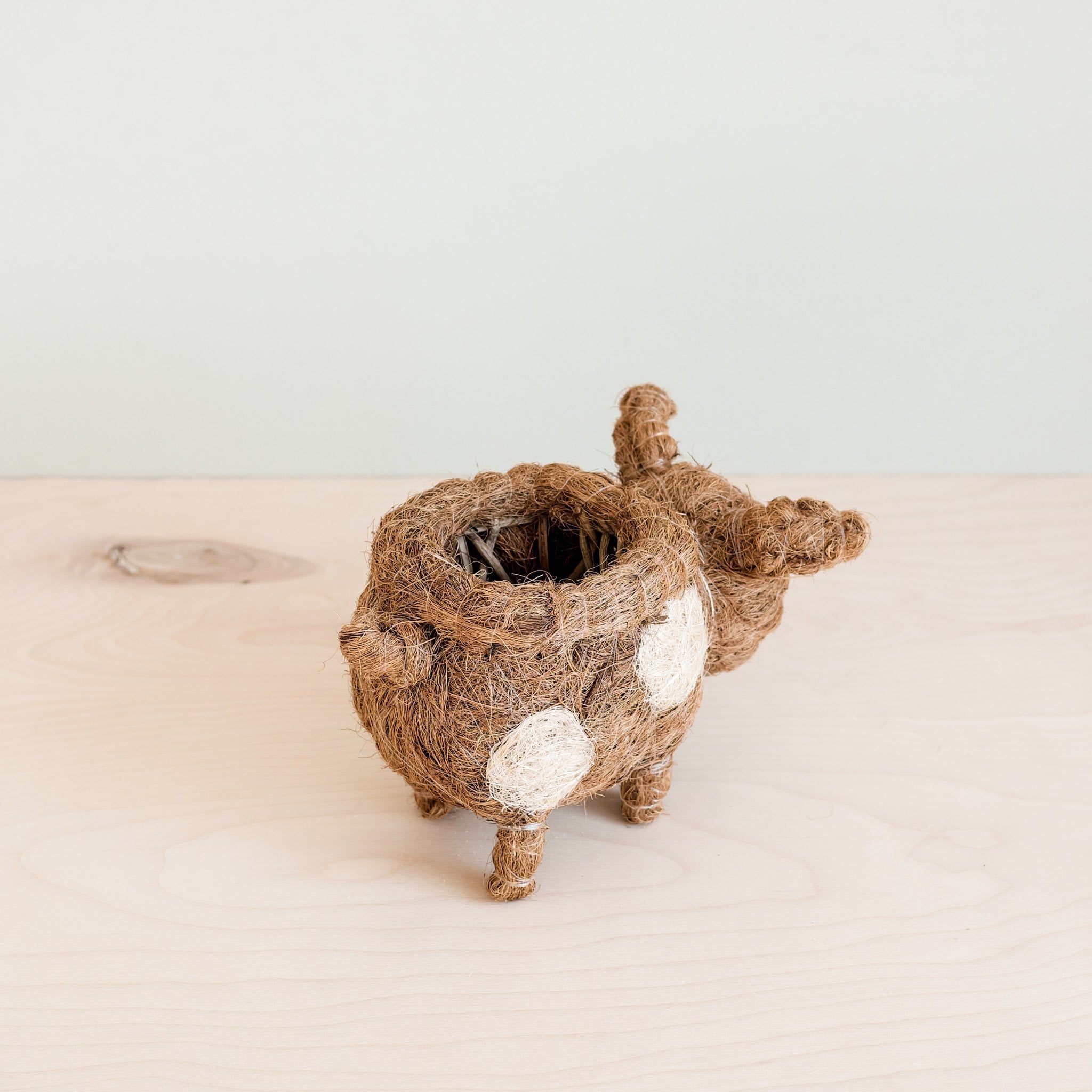 Baby Pig Succulent Pot - Handmade Planters | Likhâ