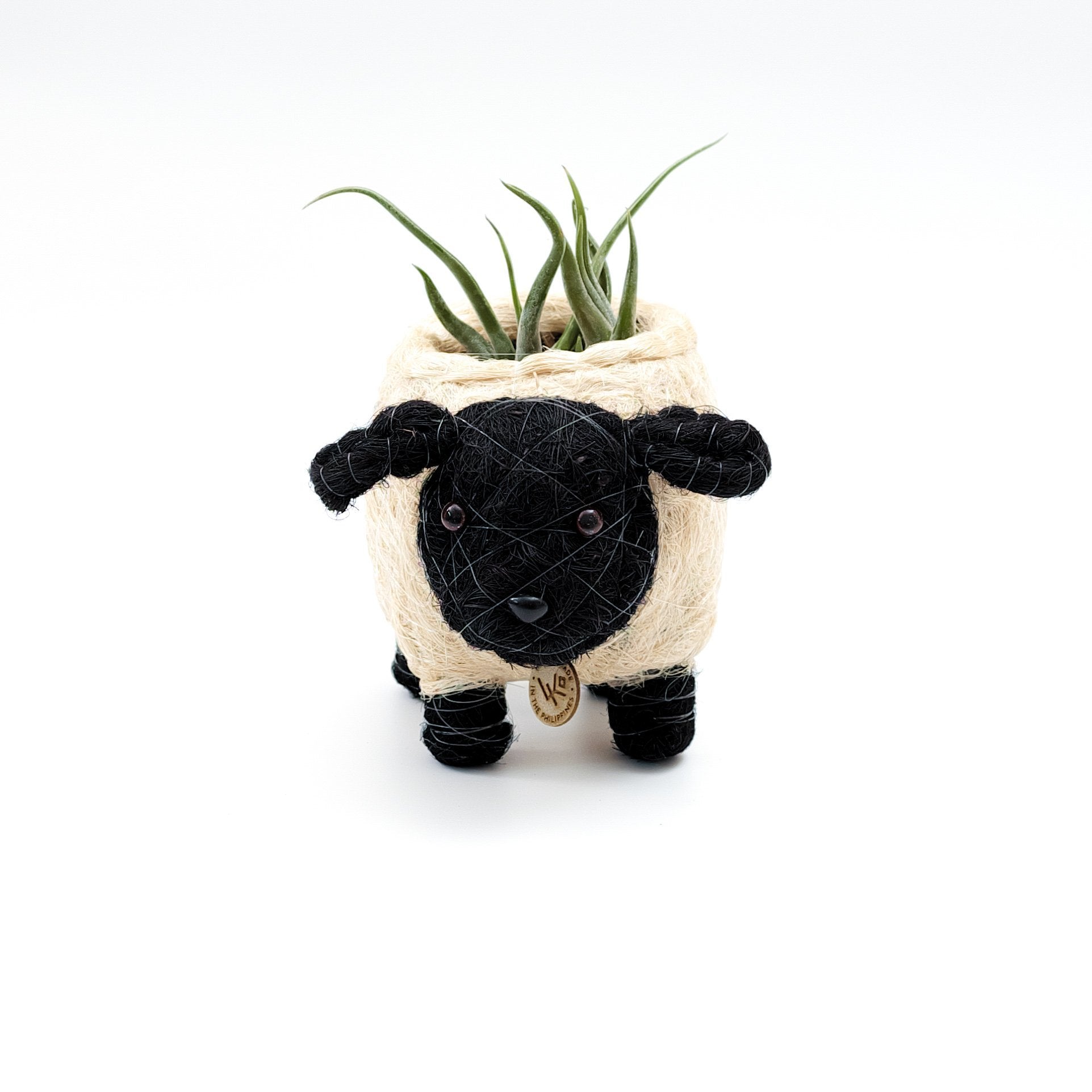 Baby Sheep Planter - Coco Coir Pots | Likhâ