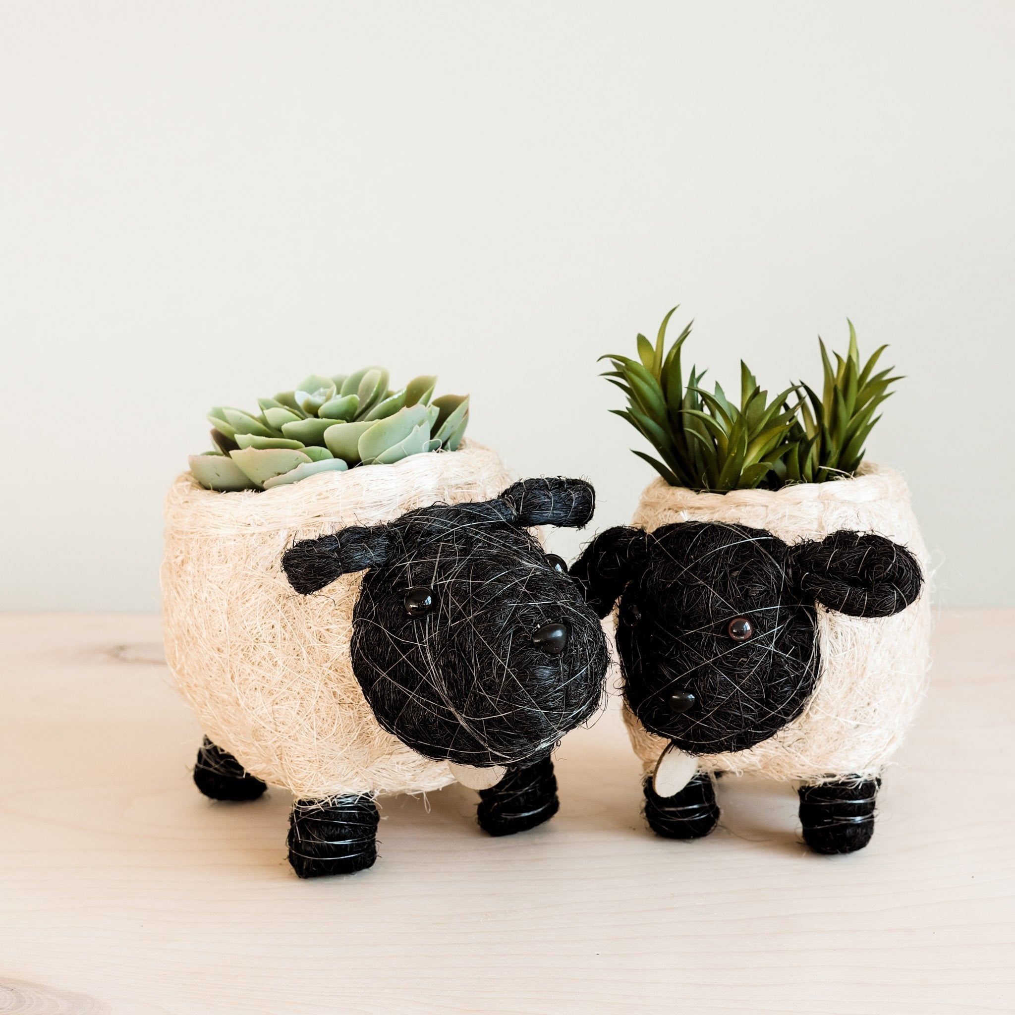 Baby Sheep Planter - Coco Coir Pots | Likhâ