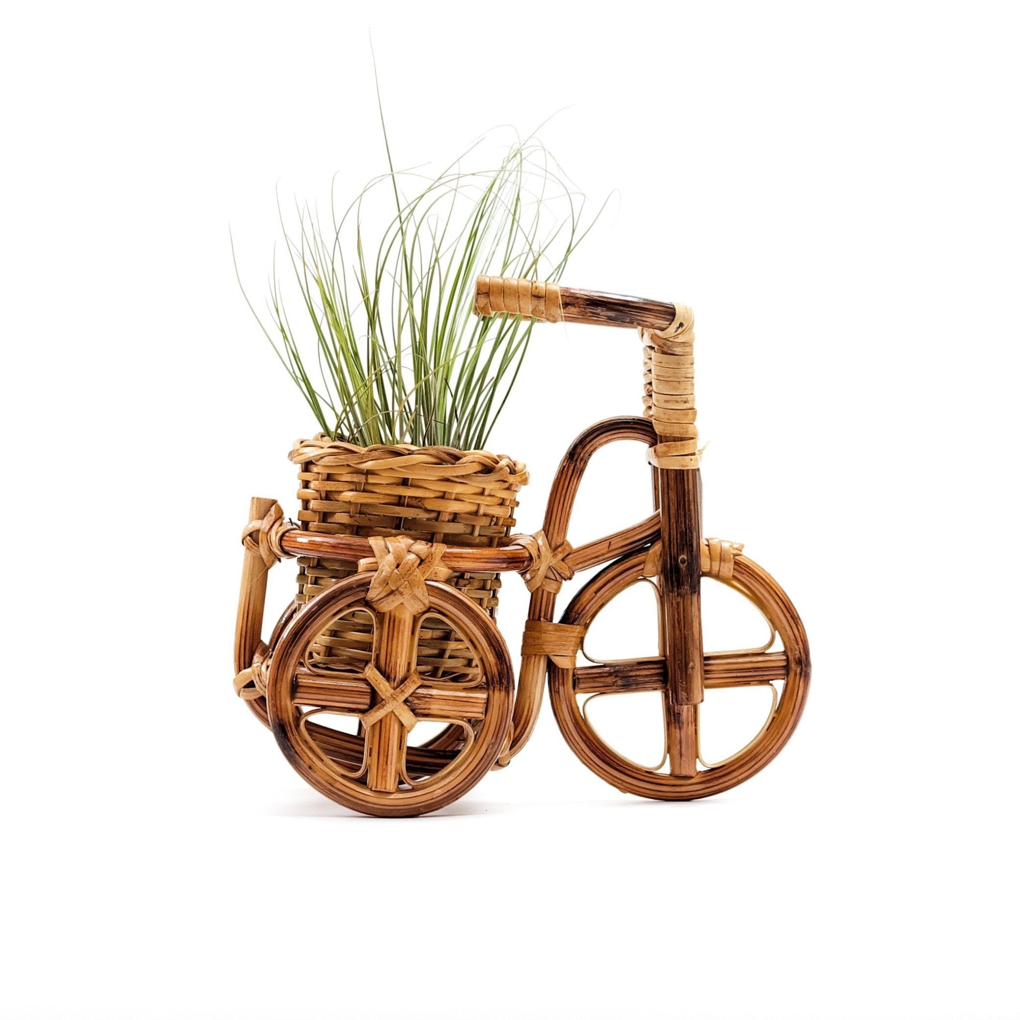 Bicycle Rattan Planter, Medium - Handmade Planters | Likhâ