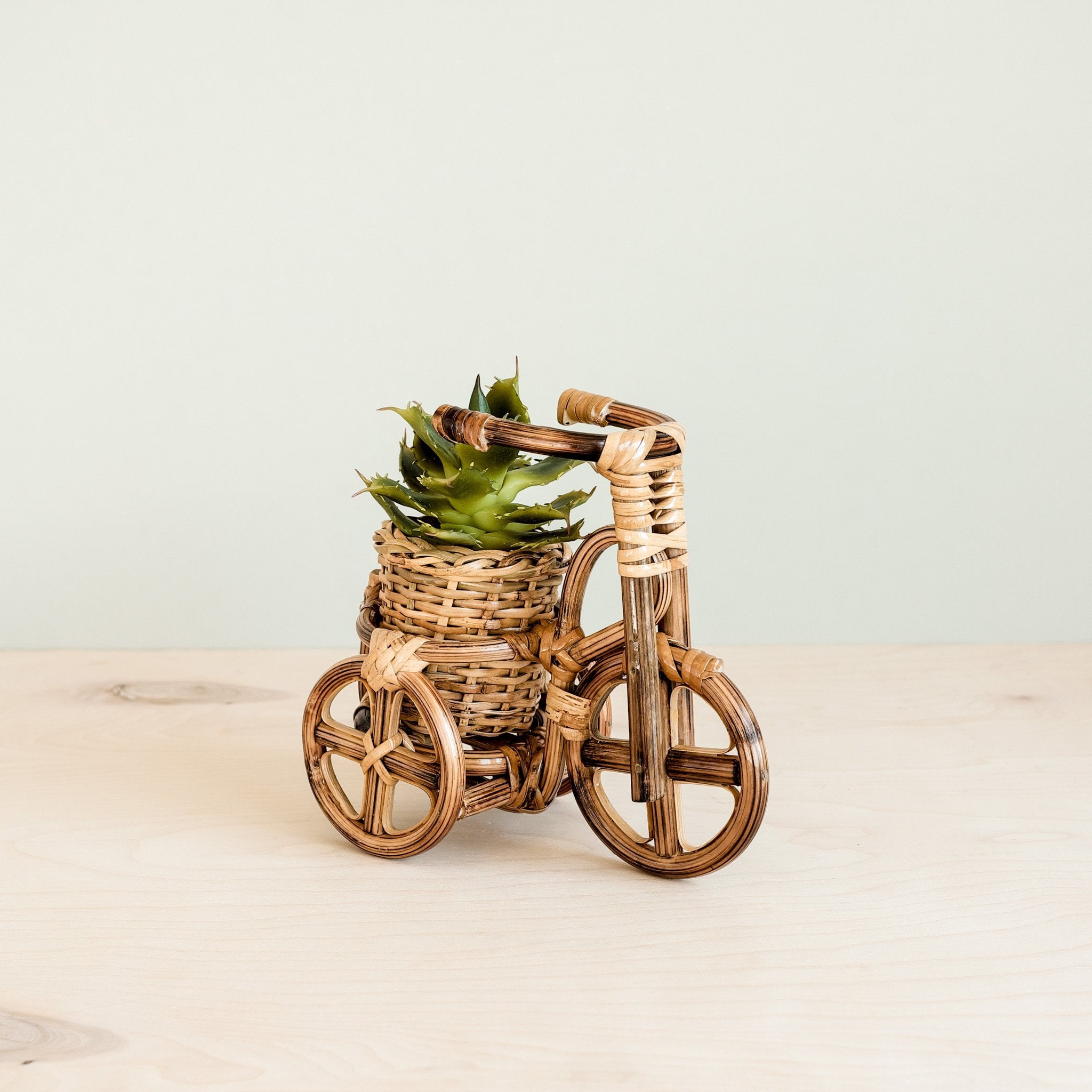 Bicycle Rattan Planter, Small - Handmade Planters | Likhâ