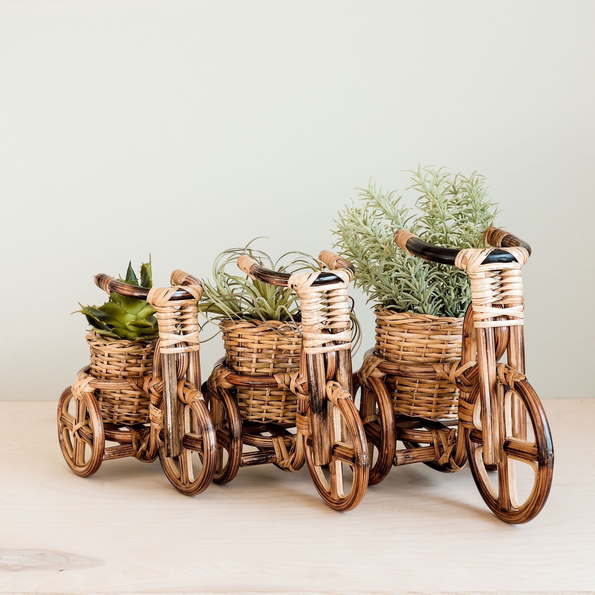 Bicycle Rattan Planter, Small - Handmade Planters | Likhâ