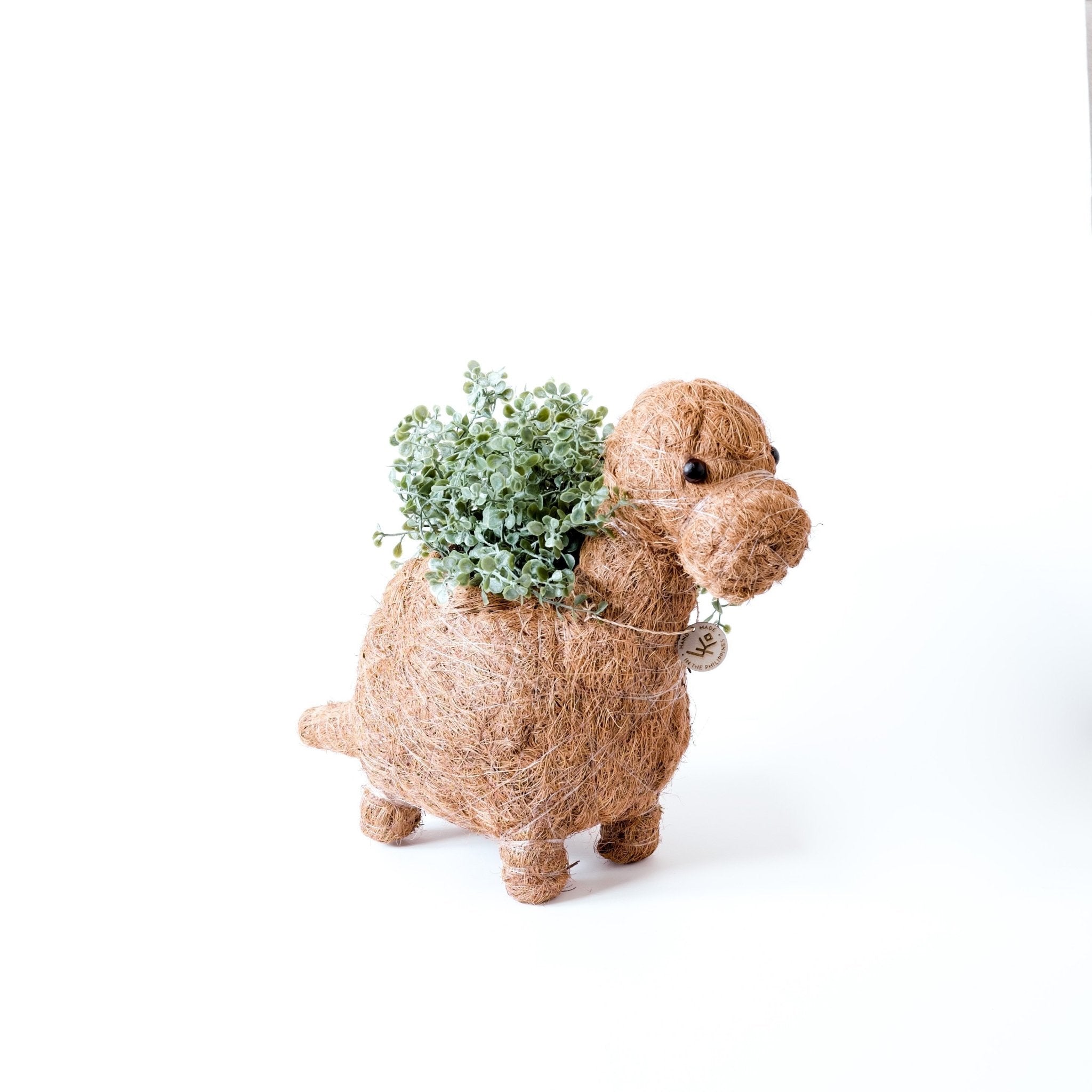 Brontosaurus Planter - Coco Coir Pots | Likhâ