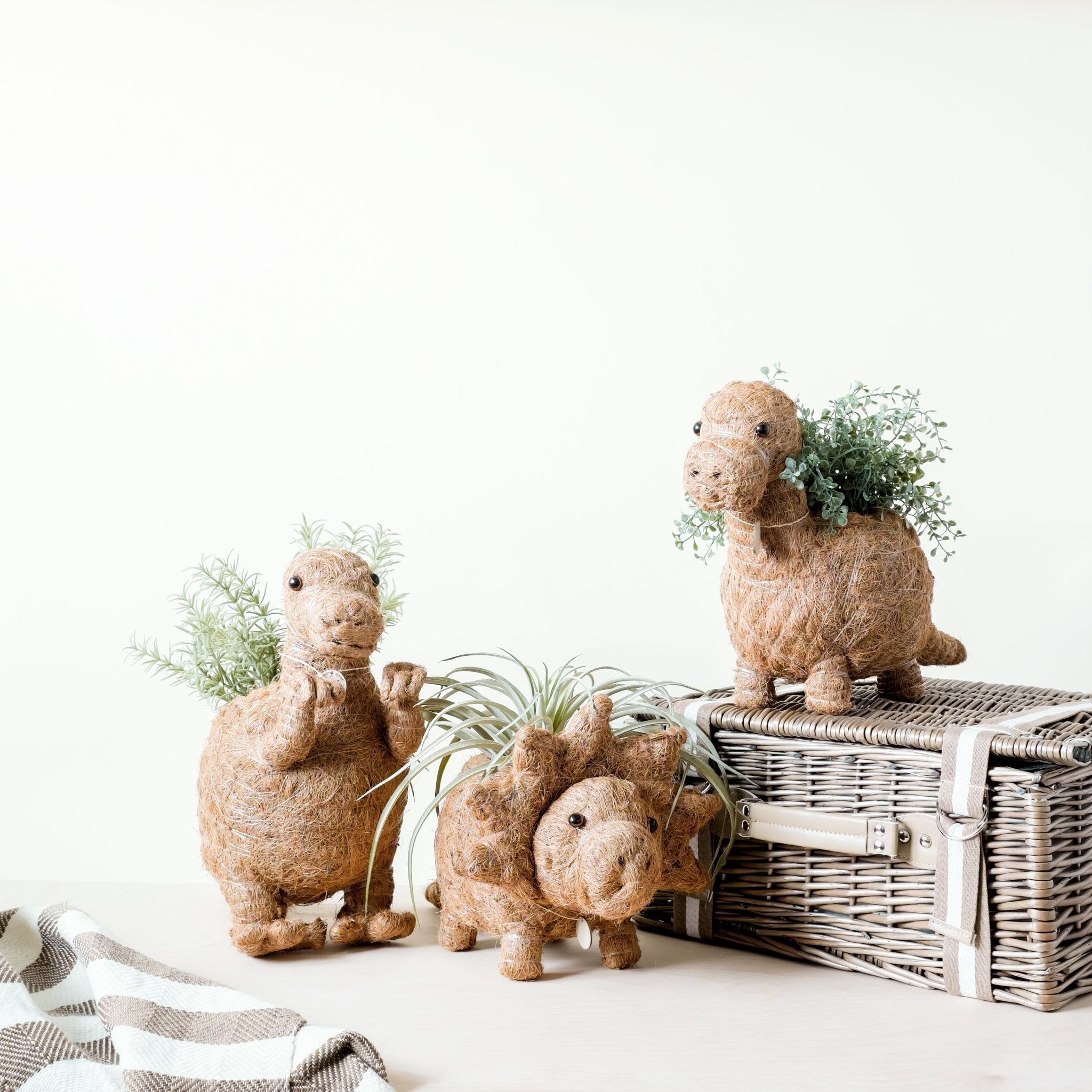 Brontosaurus Planter - Coco Coir Pots | Likhâ