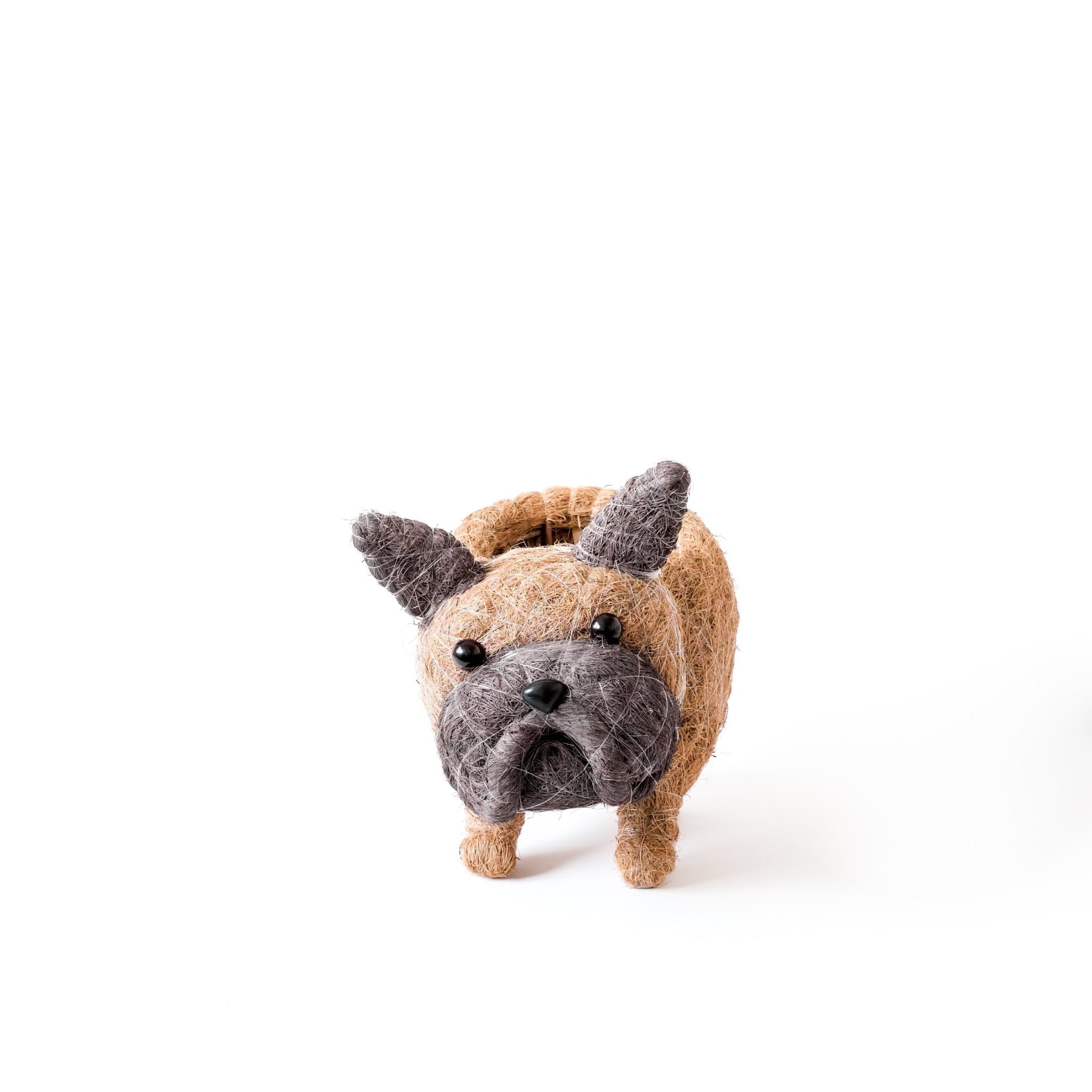 French Bulldog Planter - Coco Coir Pots | Likhâ