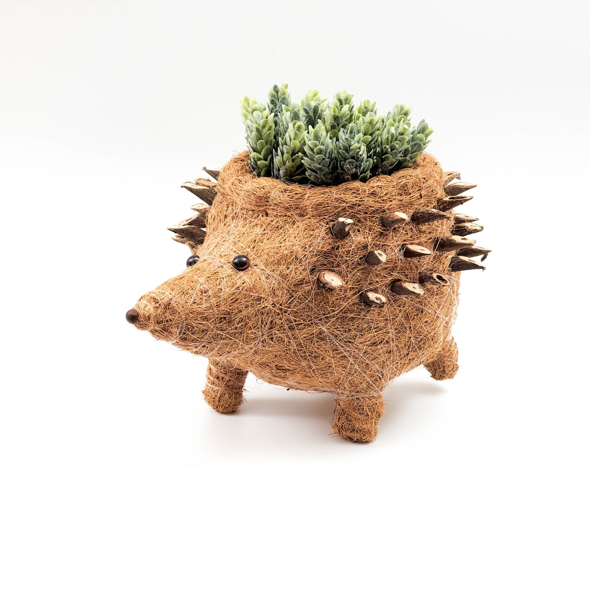 Hedgehog Planter - Coco Planter| Likhâ