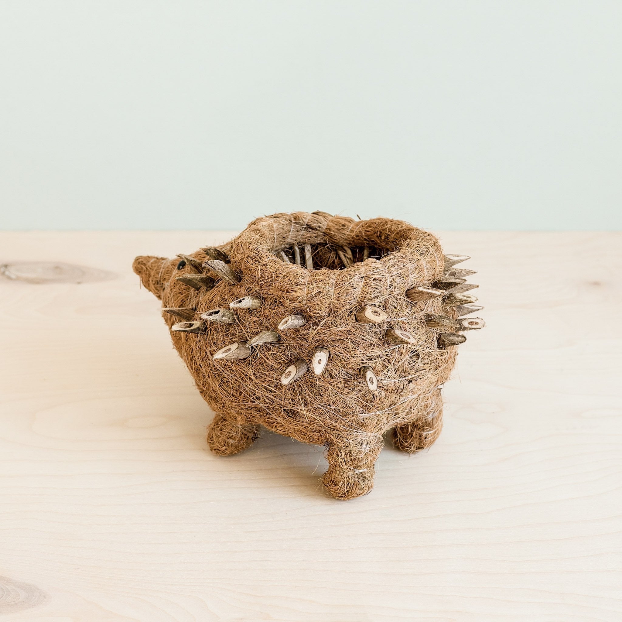 Hedgehog Planter - Coco Planter| Likhâ