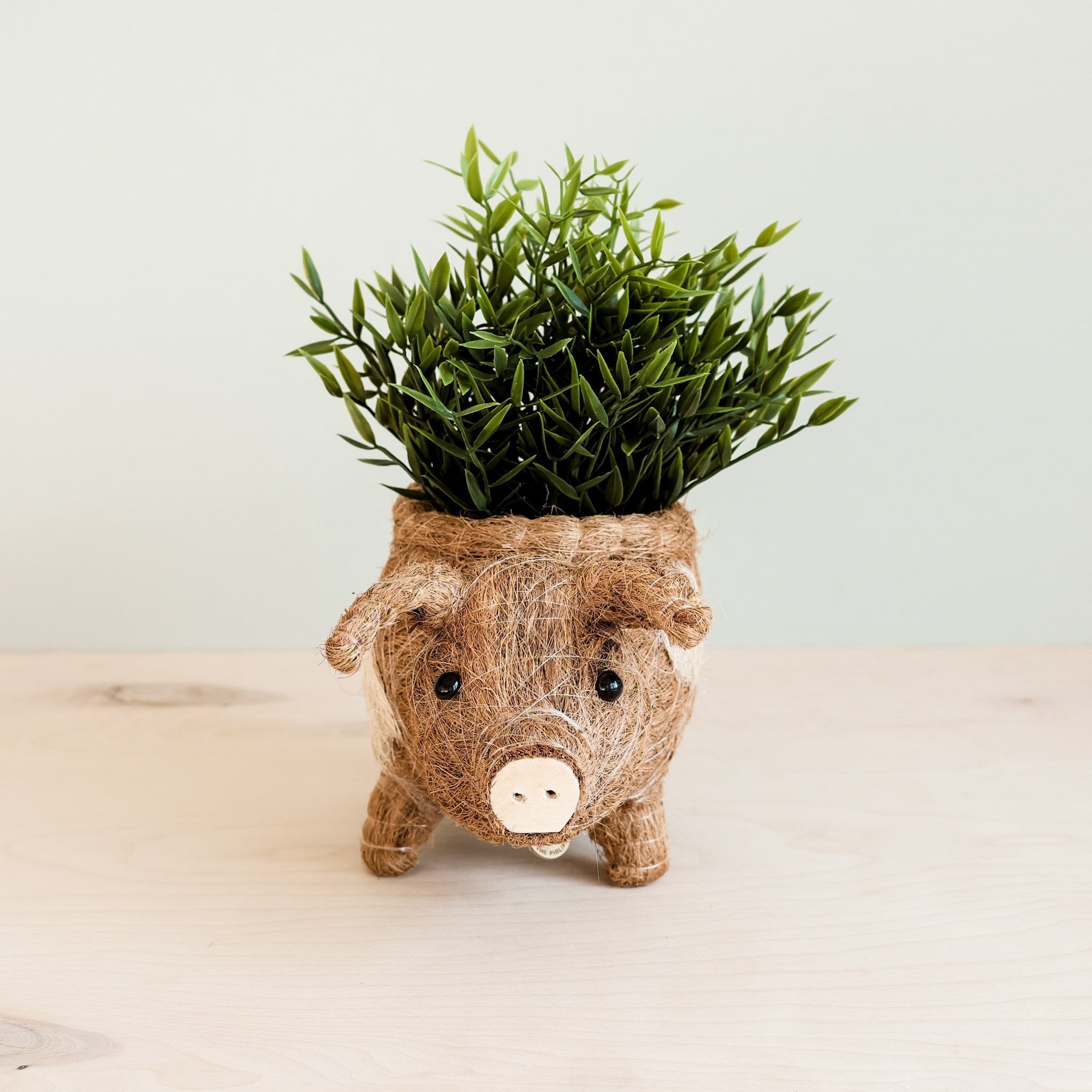Pig Planter - Coco Coir Pots | Likhâ