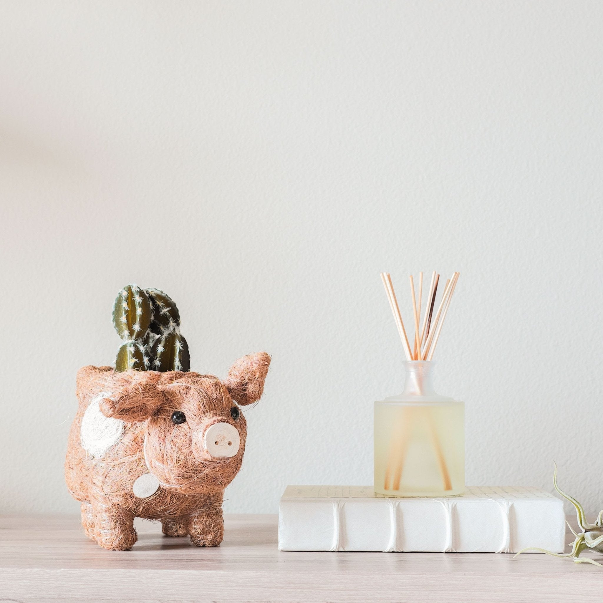 Pig Planter - Coco Coir Pots | Likhâ