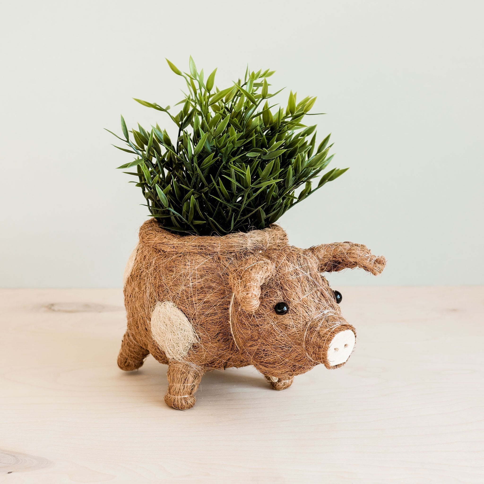Pig Planter - Coco Coir Pots | Likhâ
