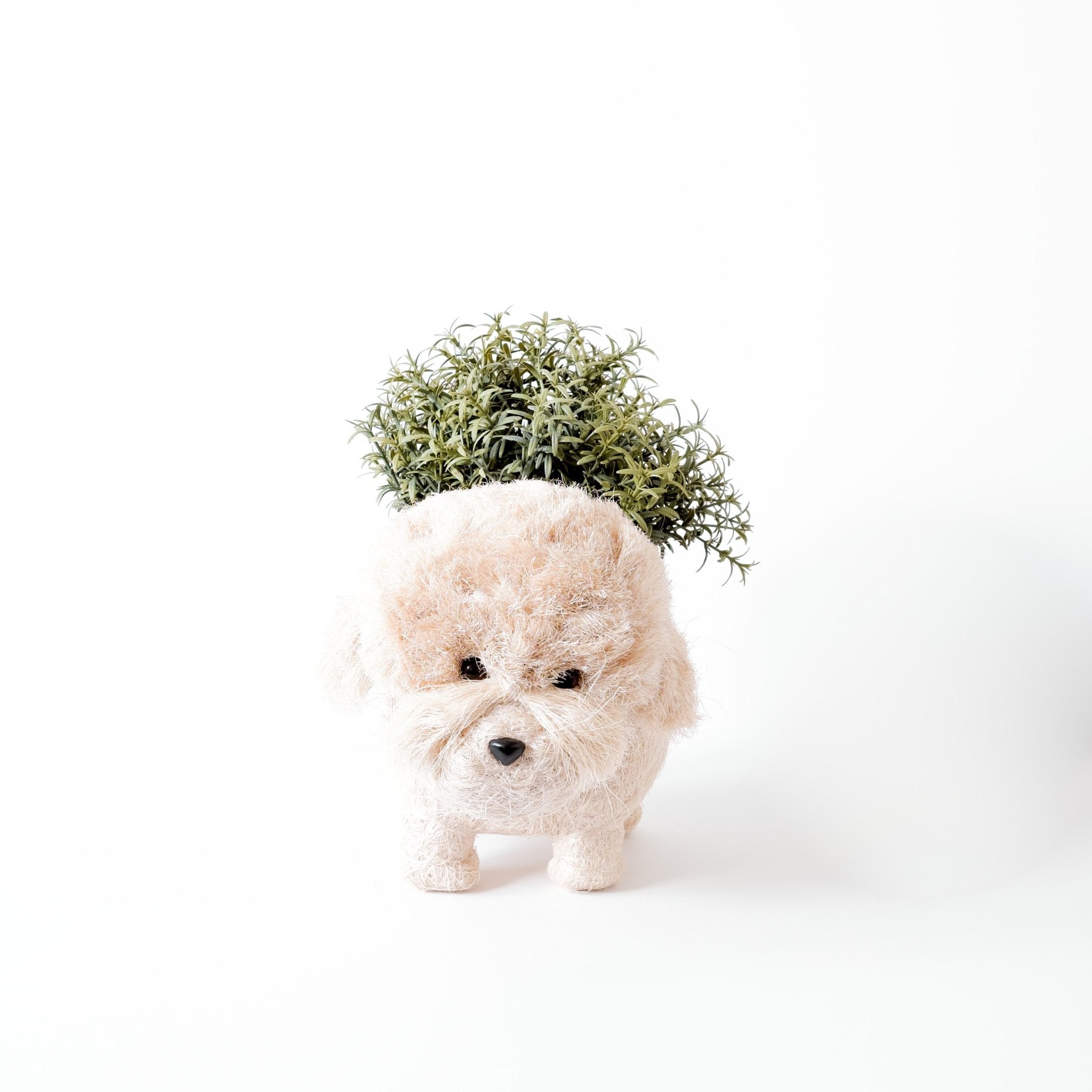 Poodle Planter - Coco Coir Pots | Likhâ