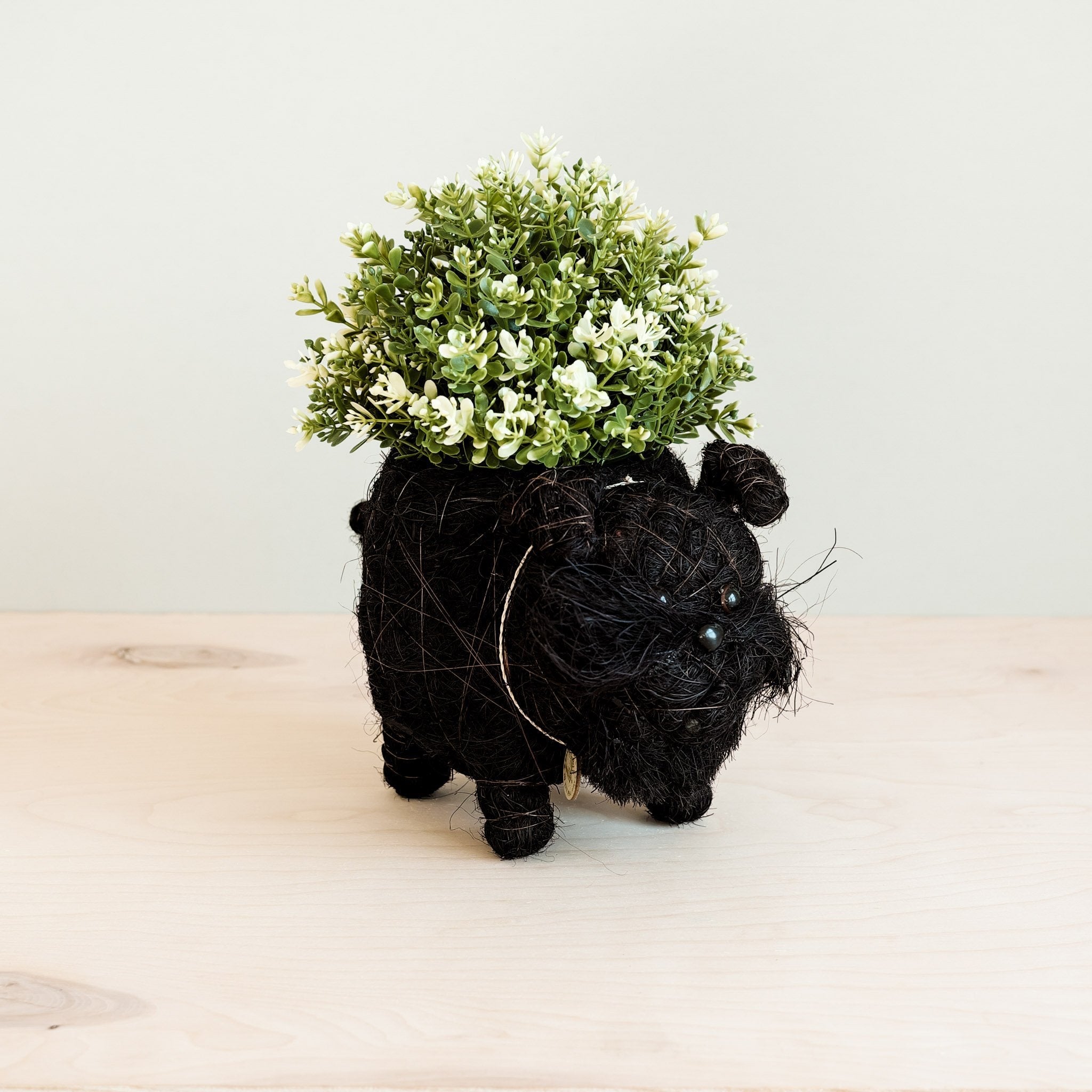 Schnauzer Planter - Coco Coir Pots | Likhâ